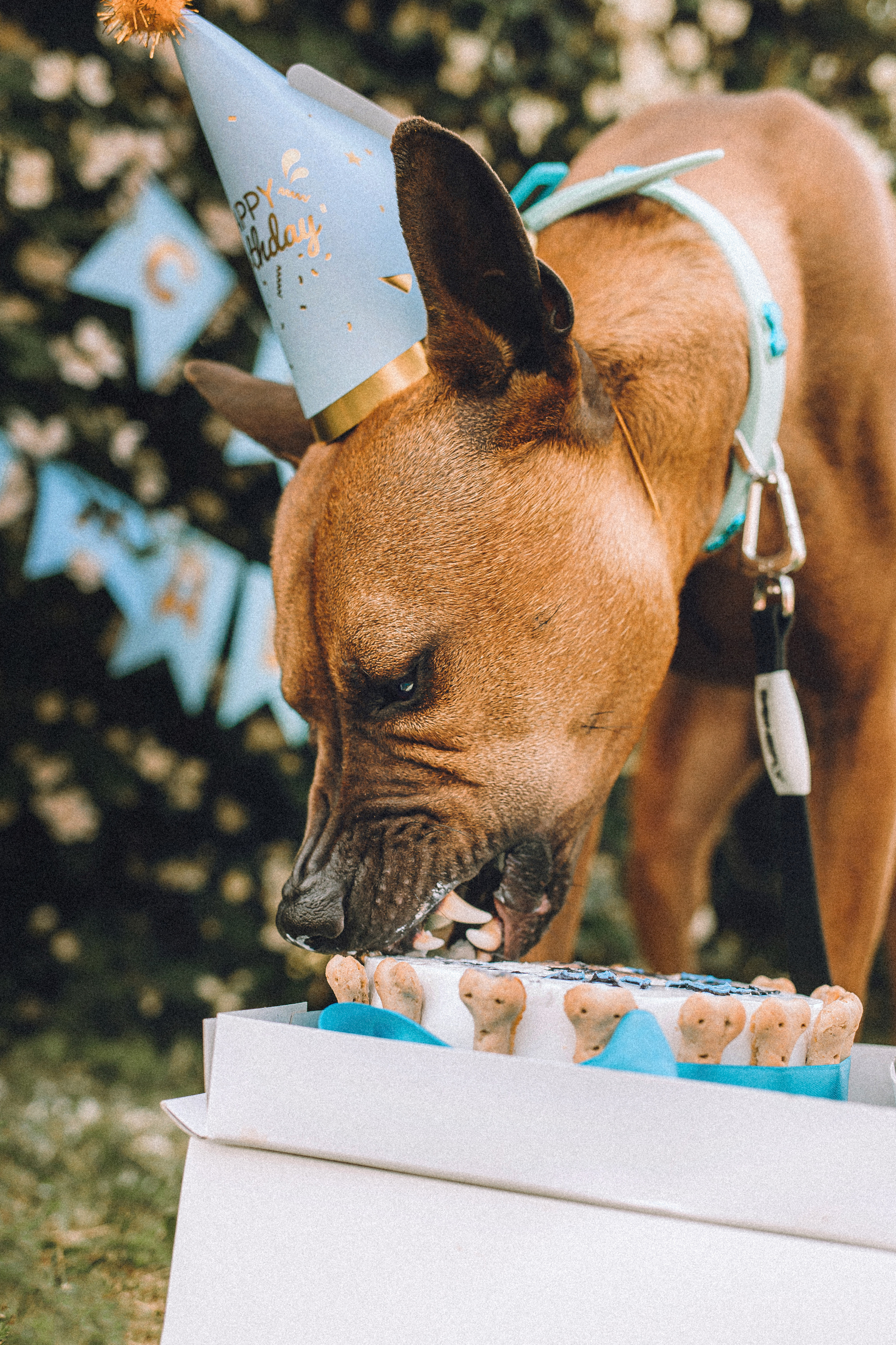 Оксана и Зевс