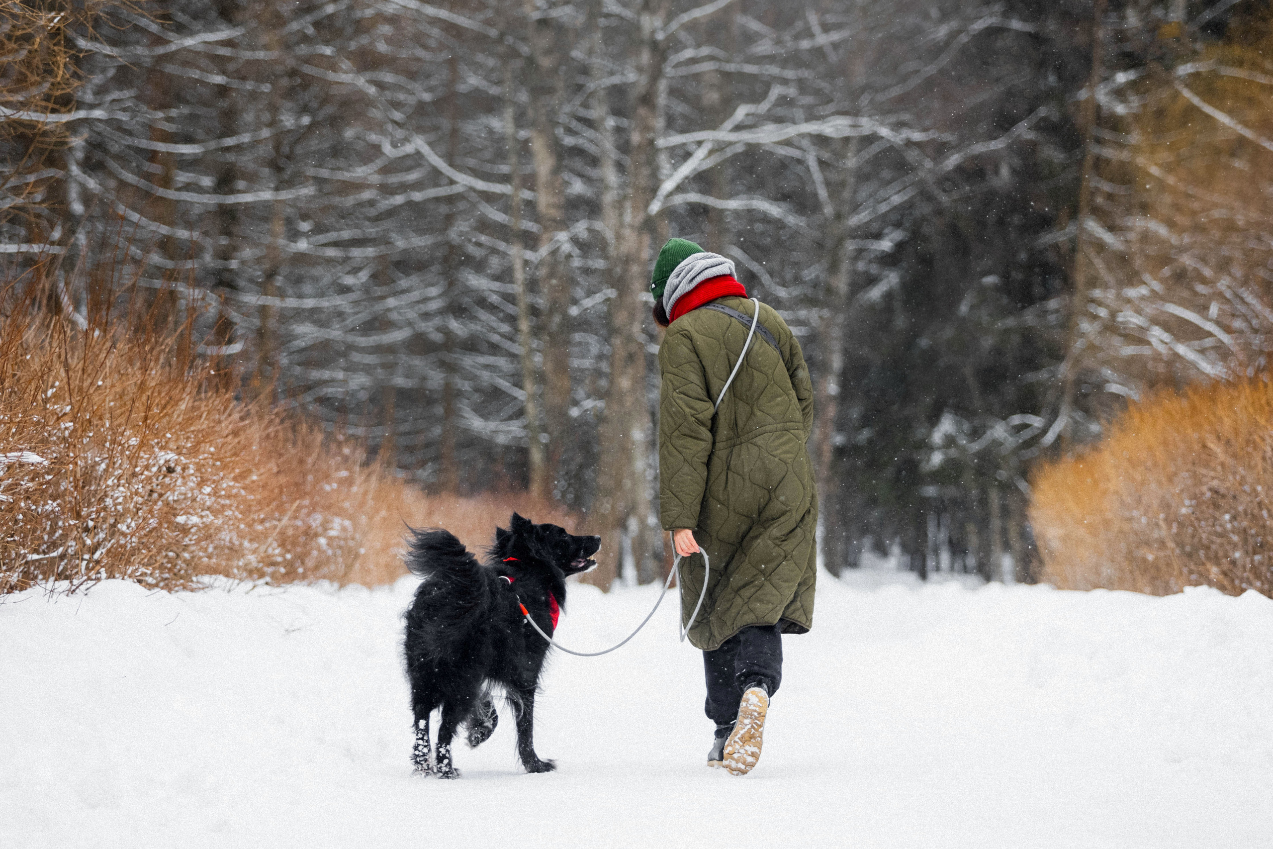 Диана и Чили
