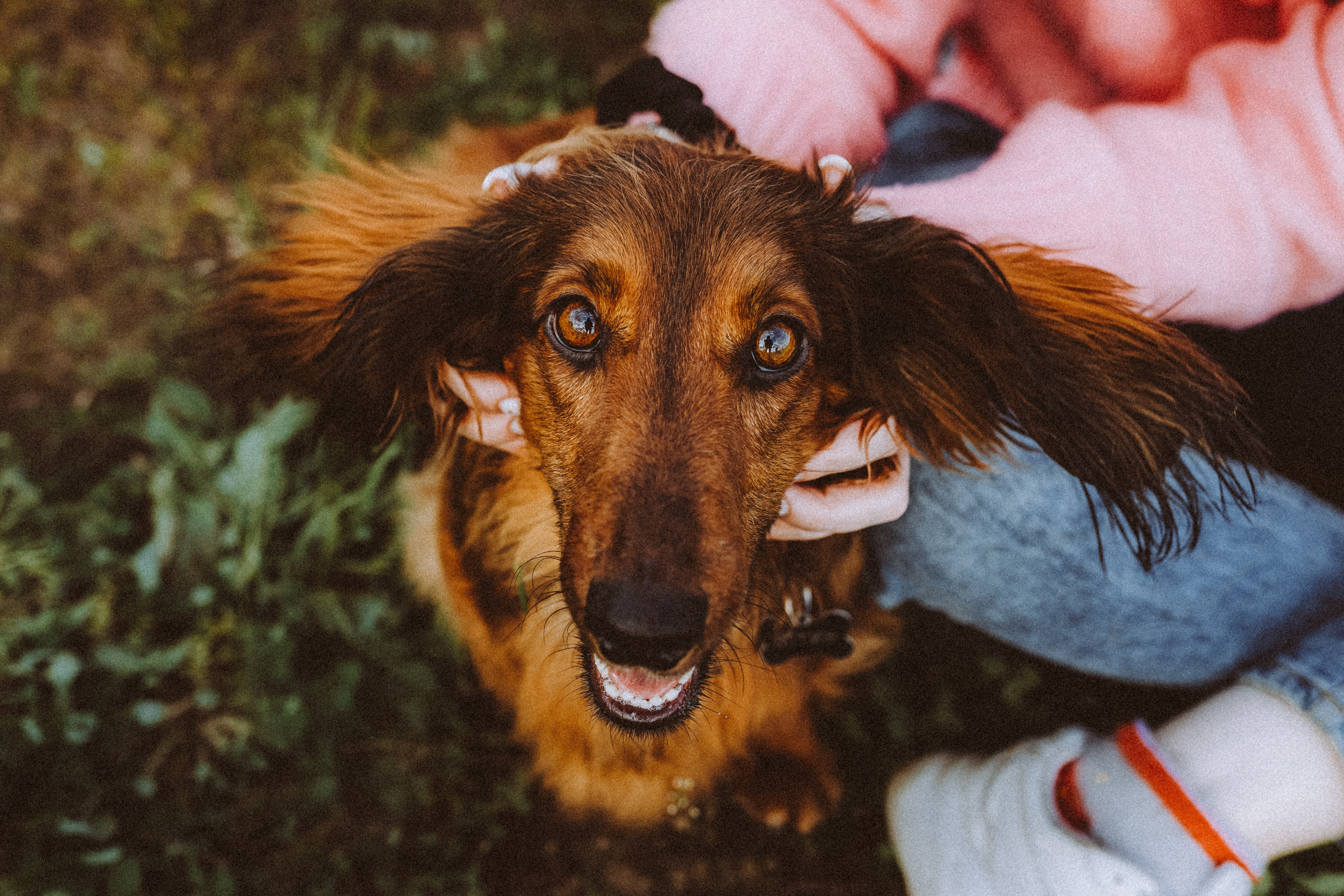 Джаз, Остин и их семья