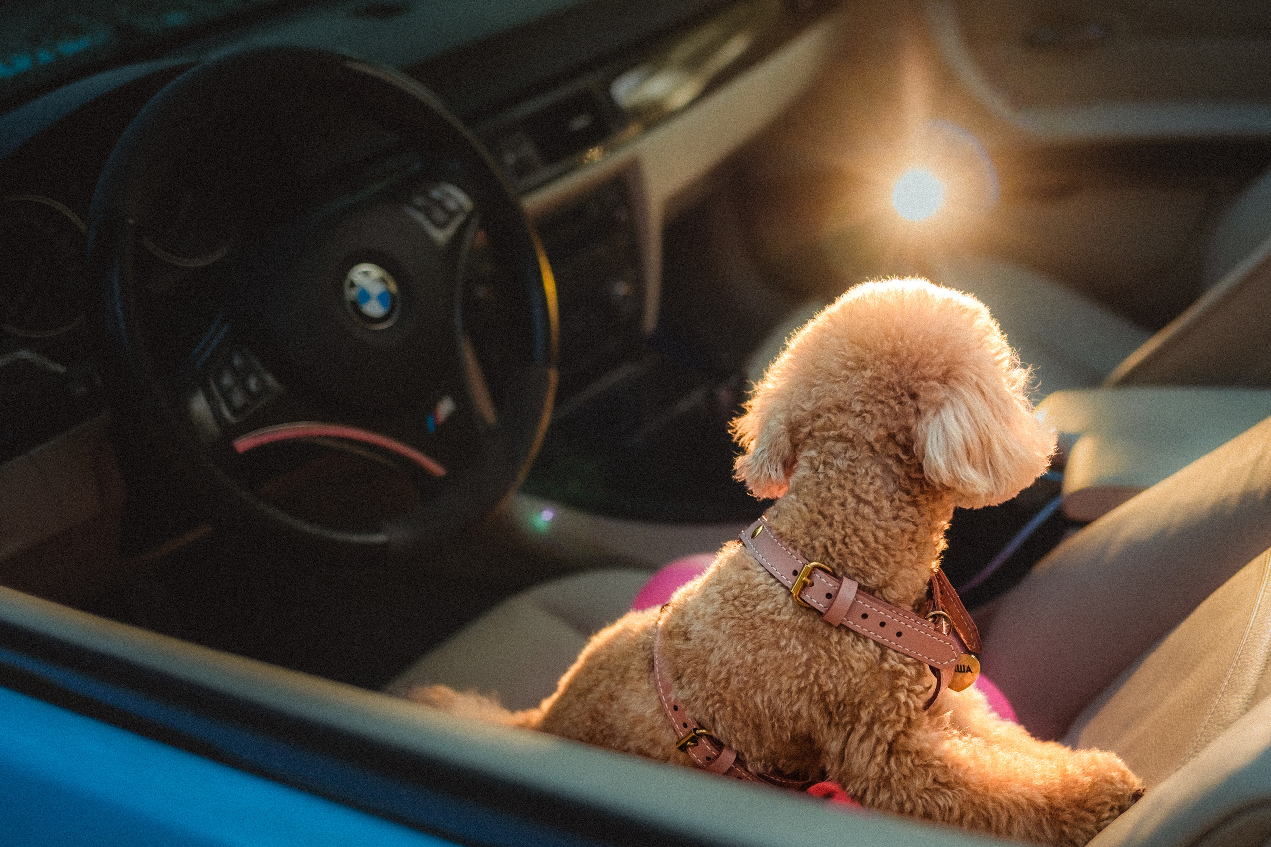 Даша и Глаша