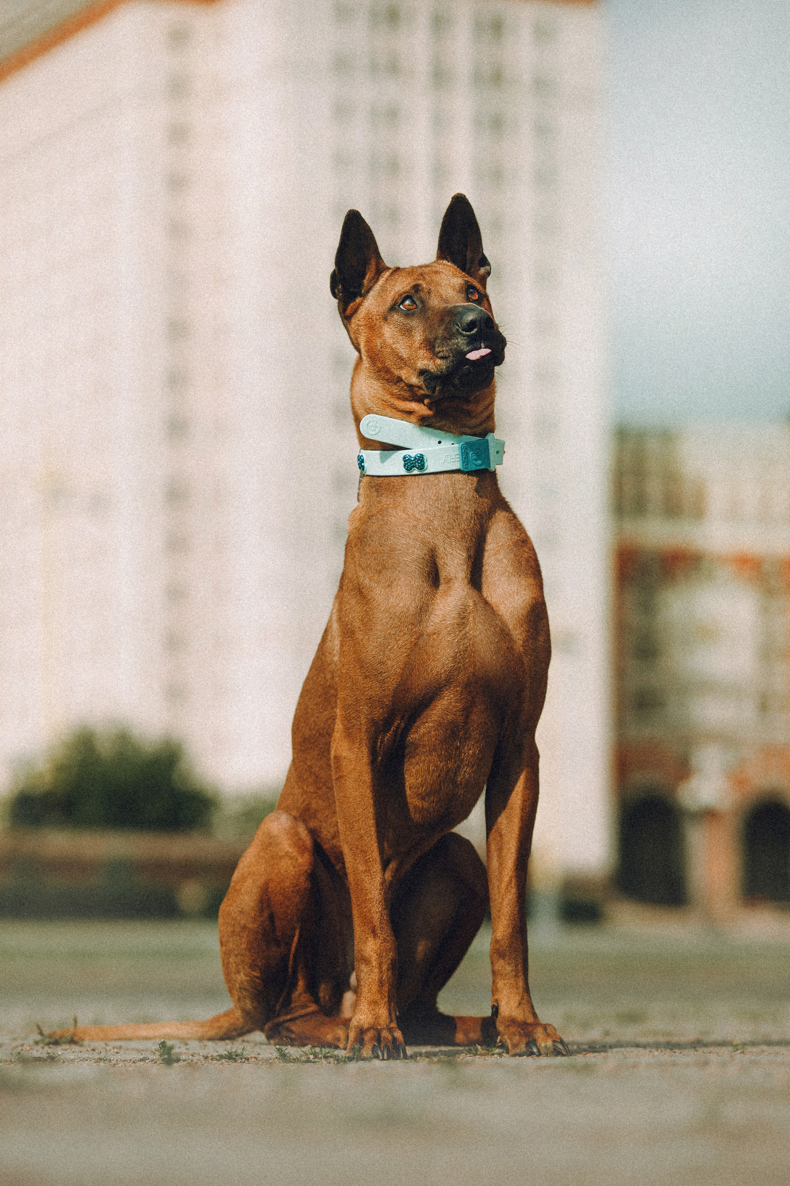 Оксана и Зевс