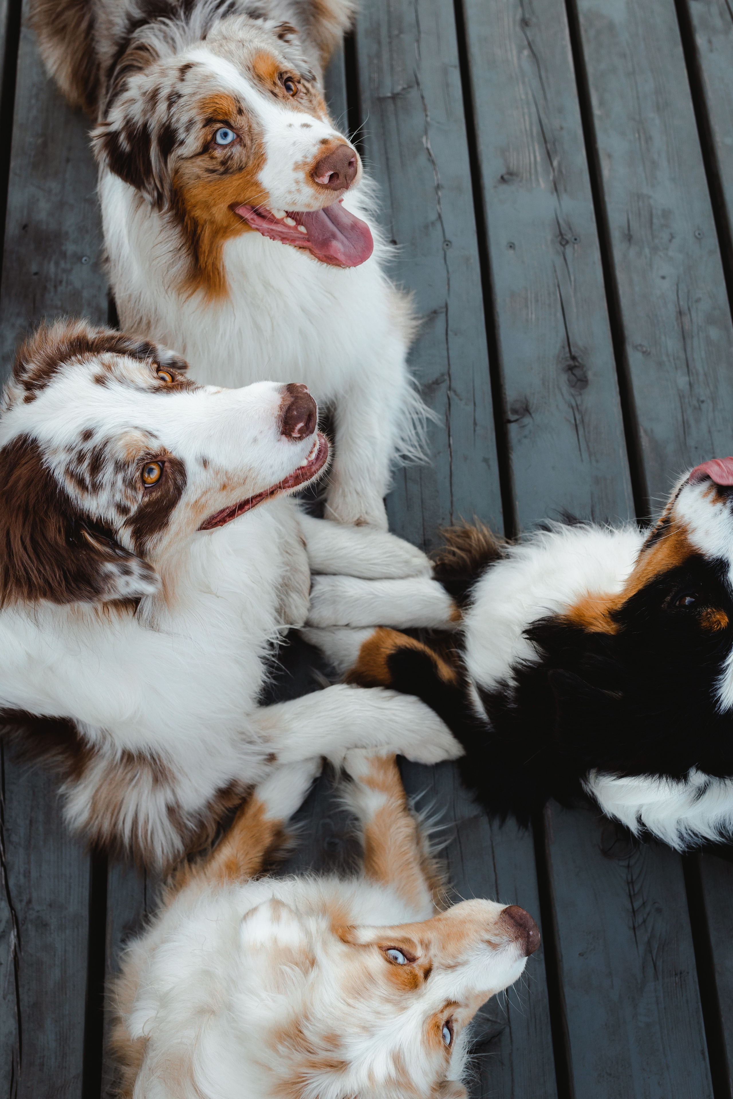 Маша и ее семья