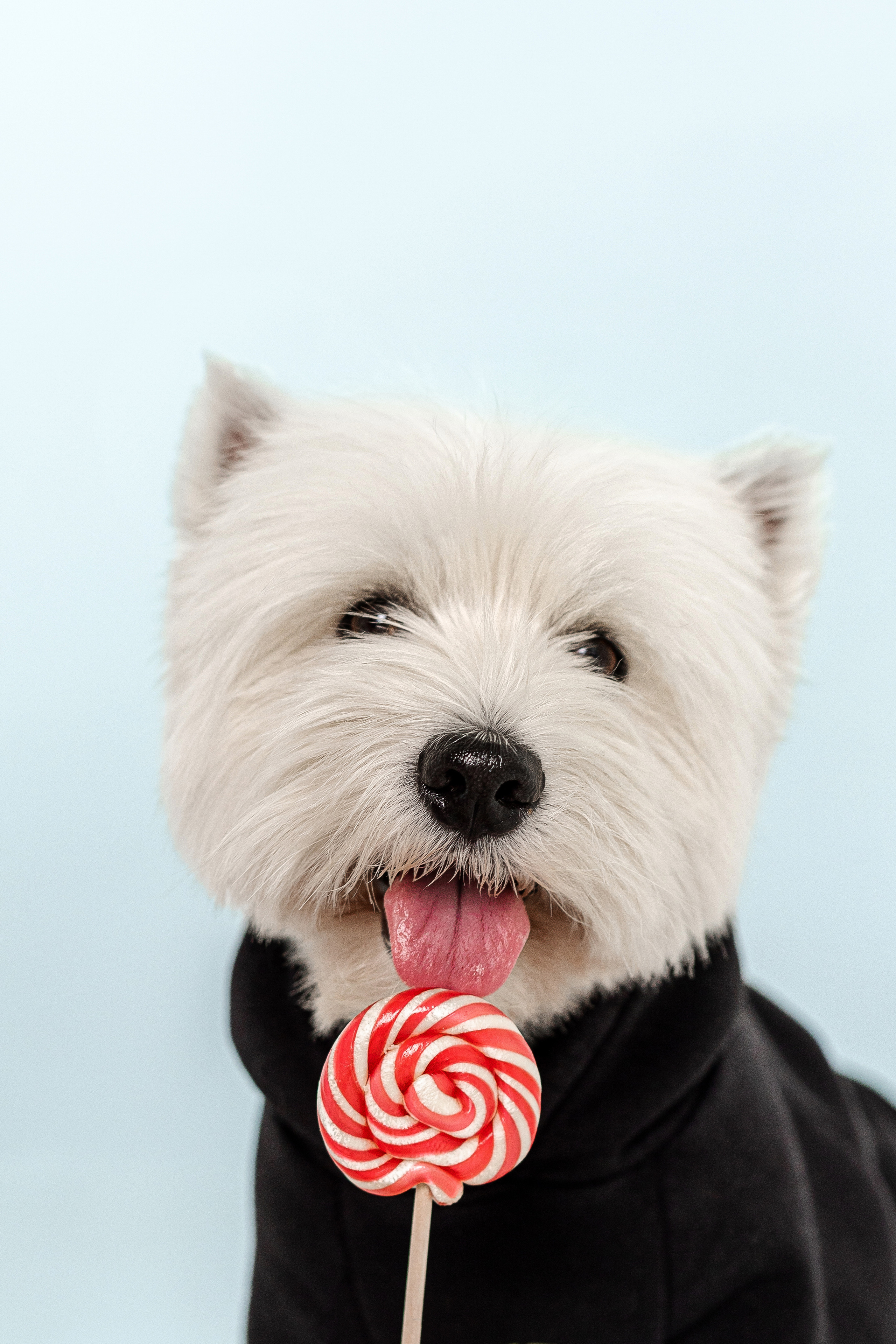 Вера и Бакс