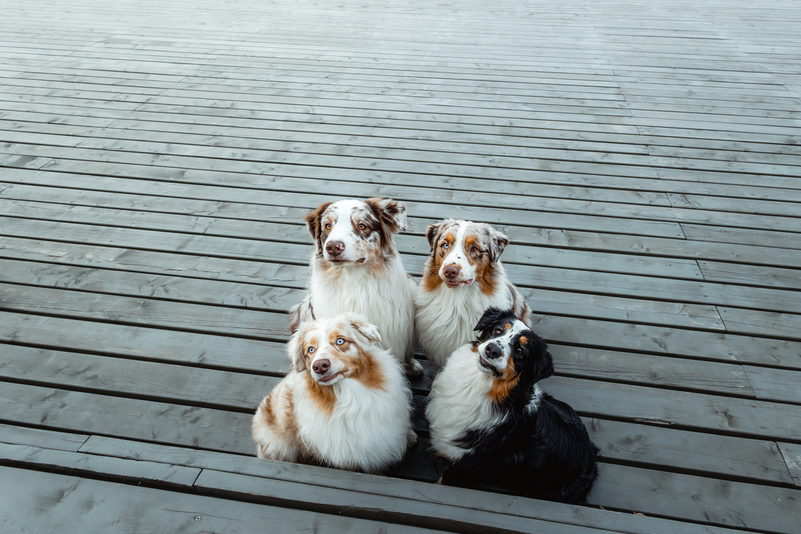 Маша и ее семья