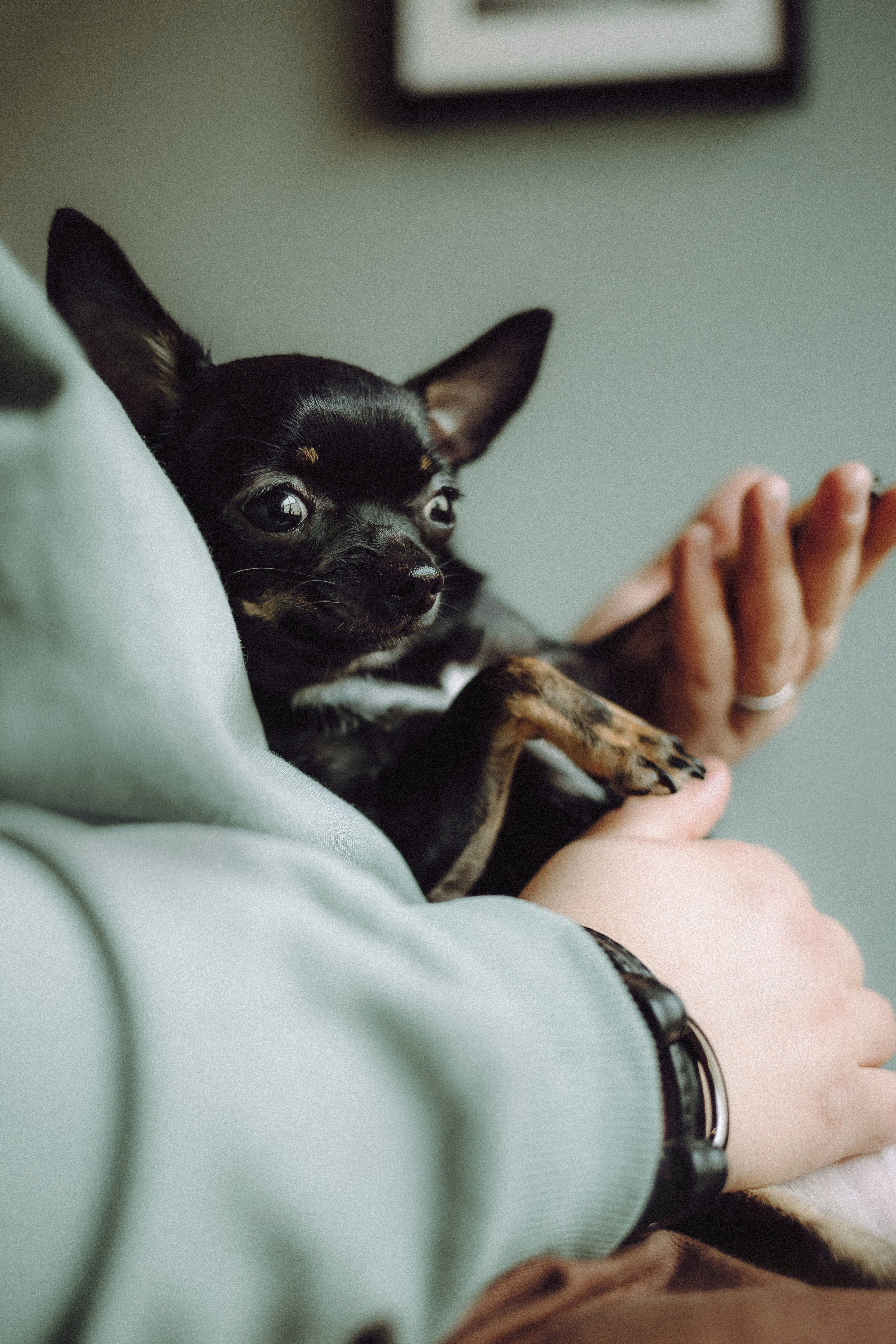 Марк, Челси, Маша и их семья