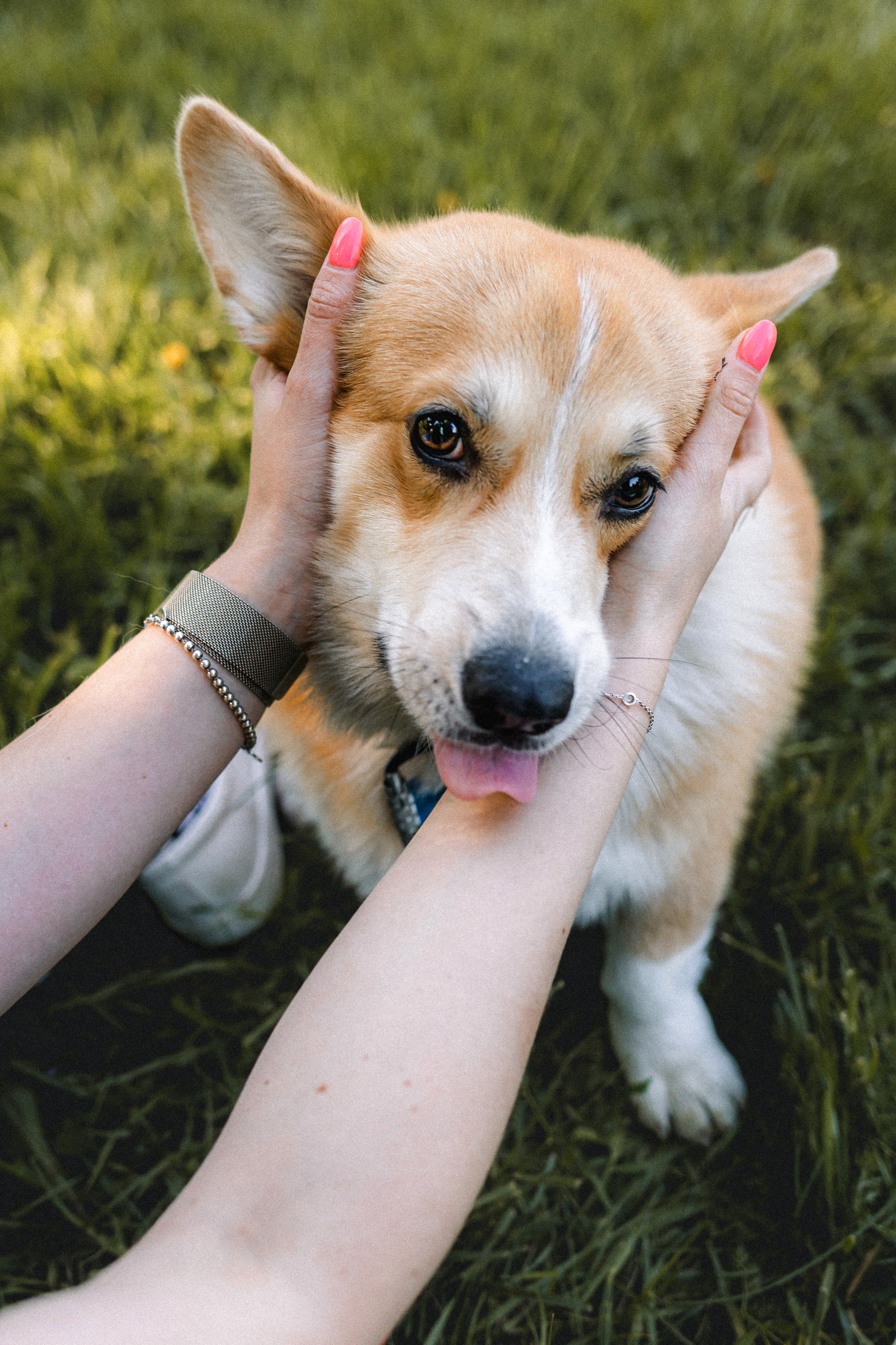 Вика, Глеб и Бадди