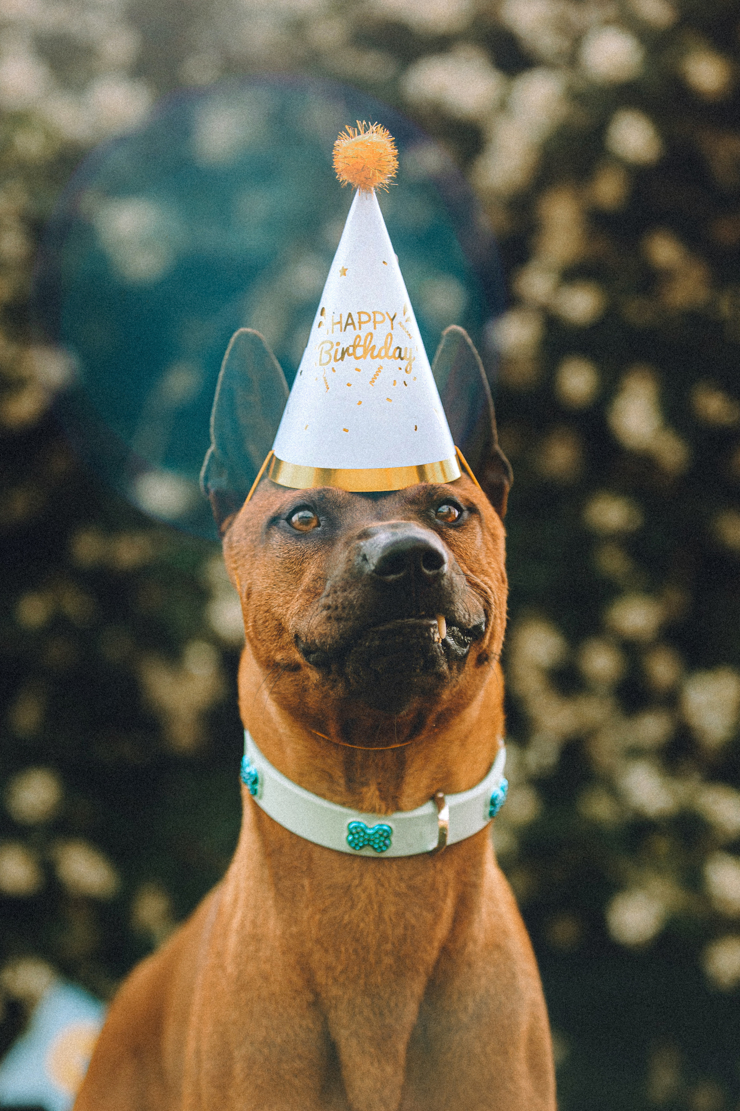 Оксана и Зевс