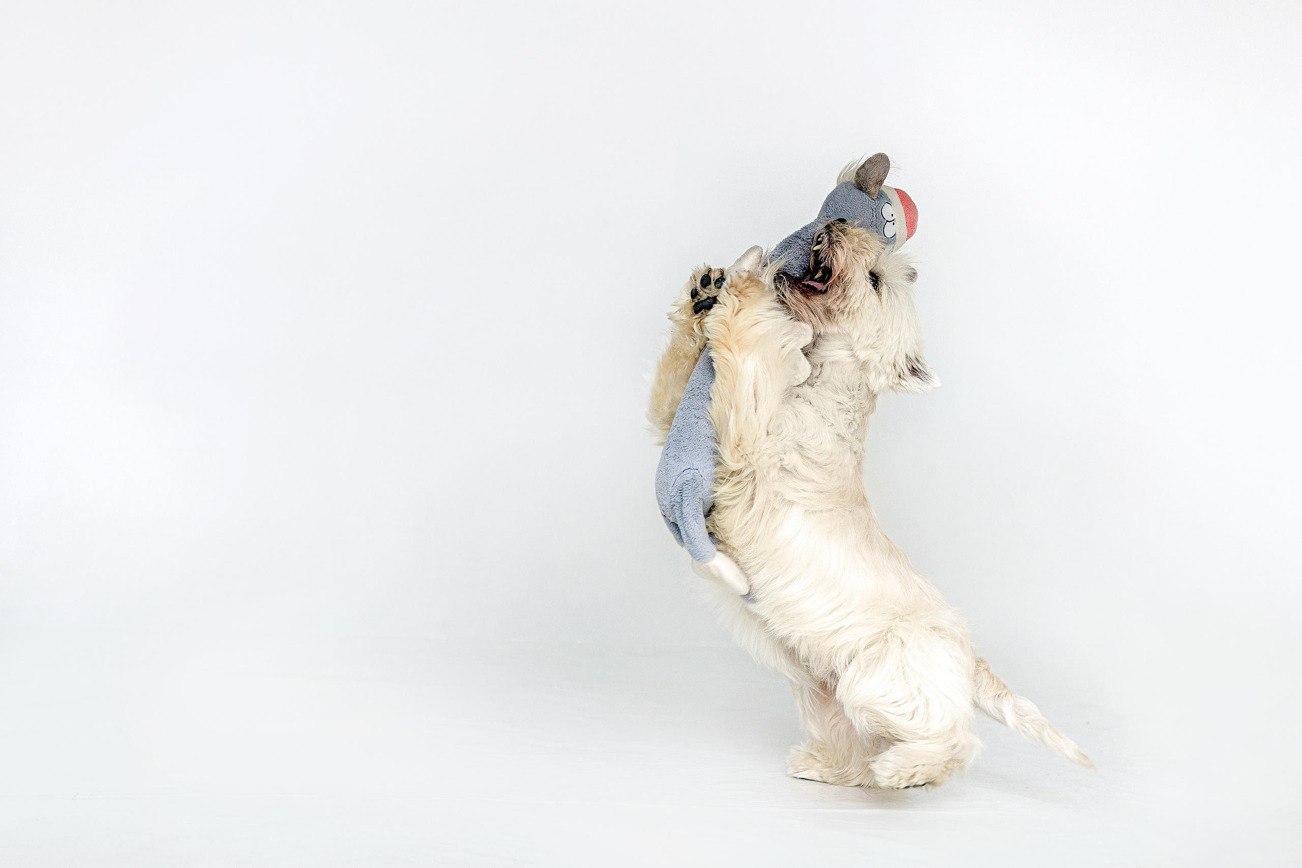 Вера и Бакс