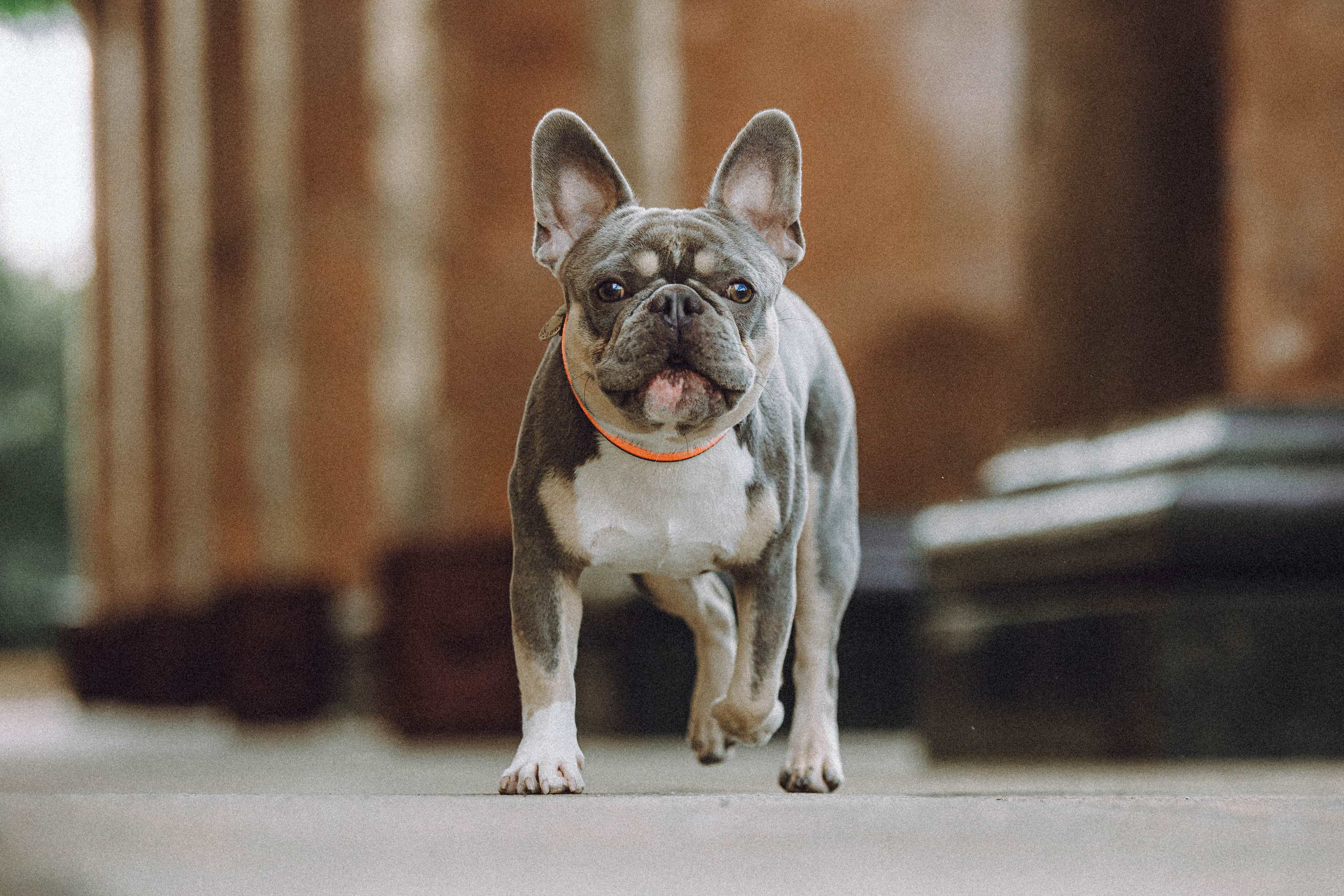 Регина, Сережа и Шелдон