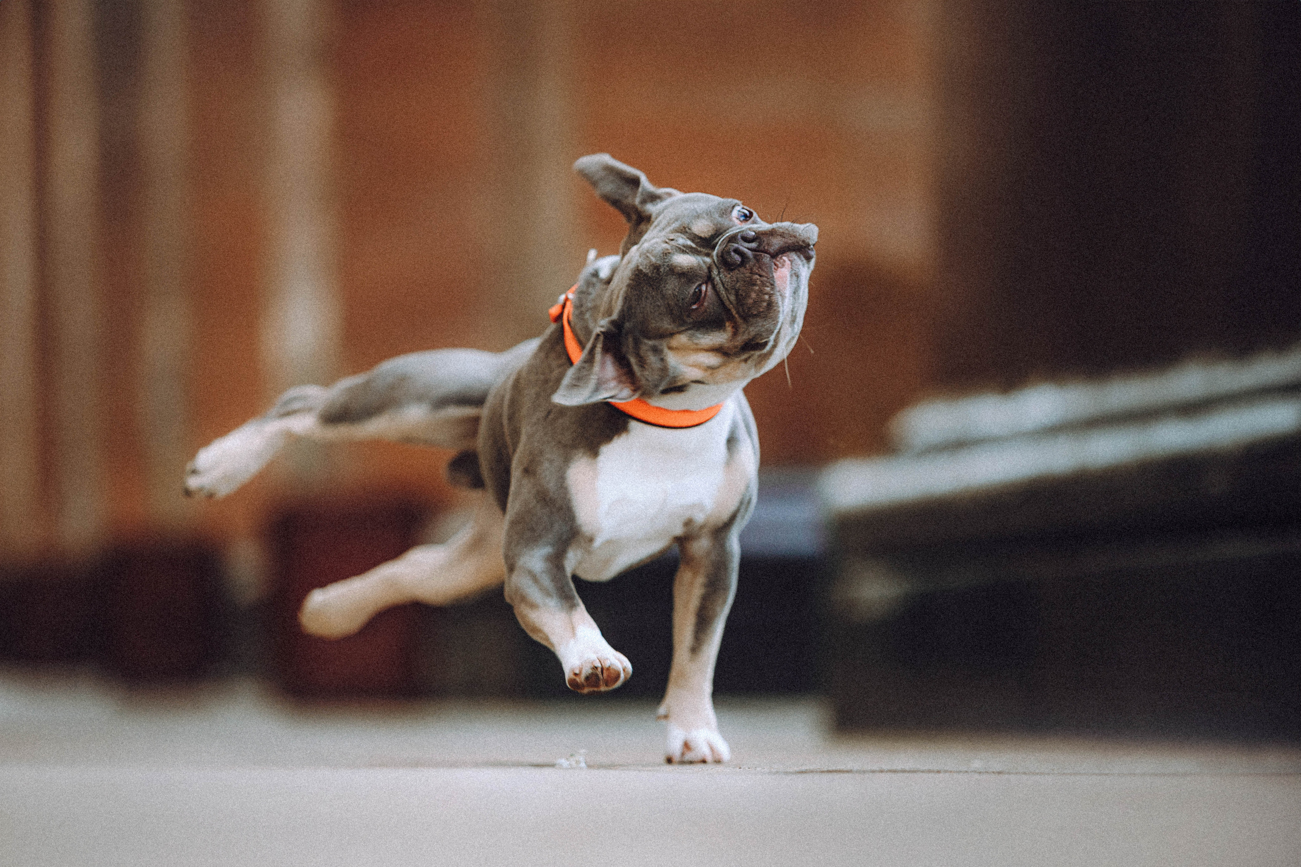 Регина, Сережа и Шелдон