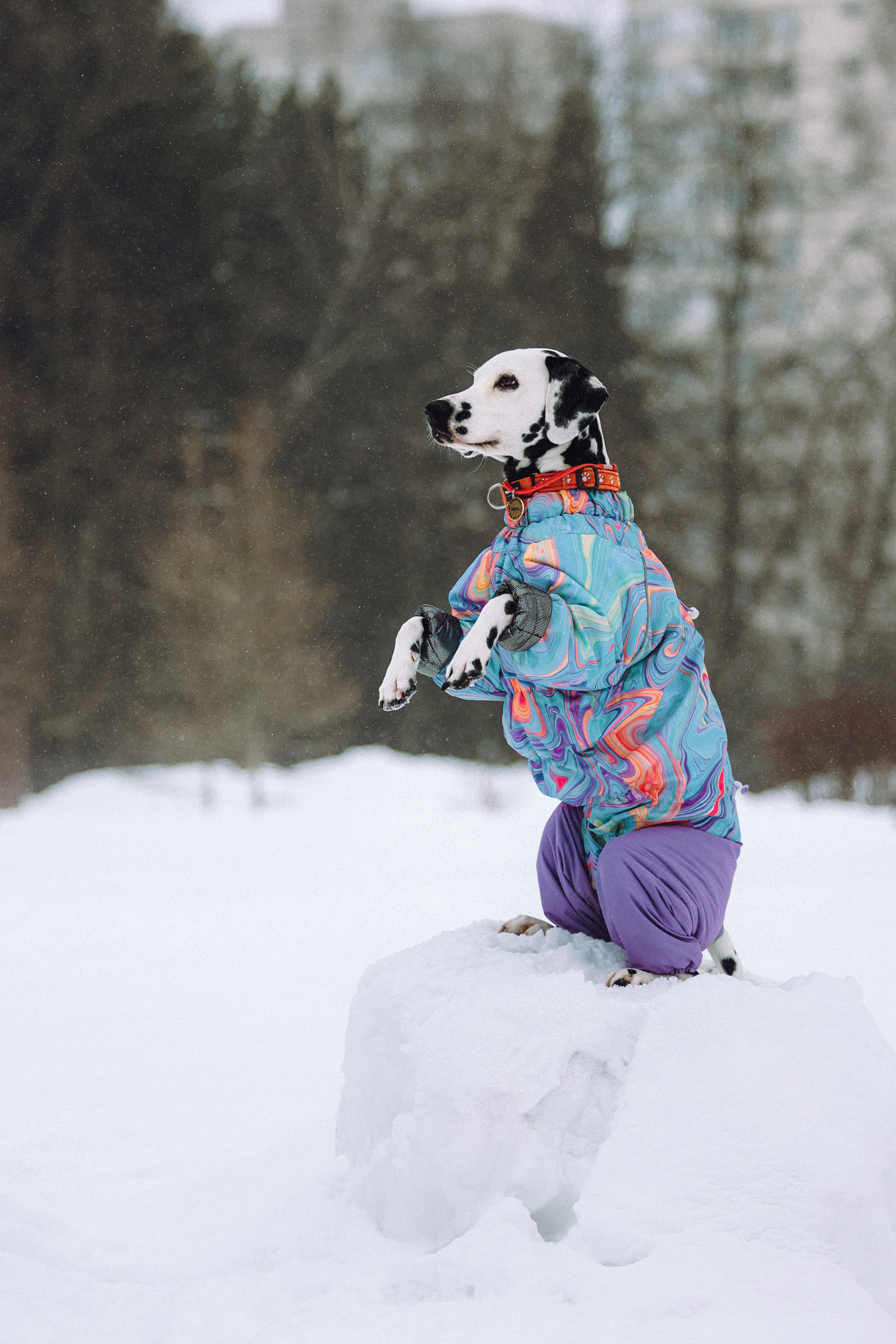 Кристина, Леша и Санта