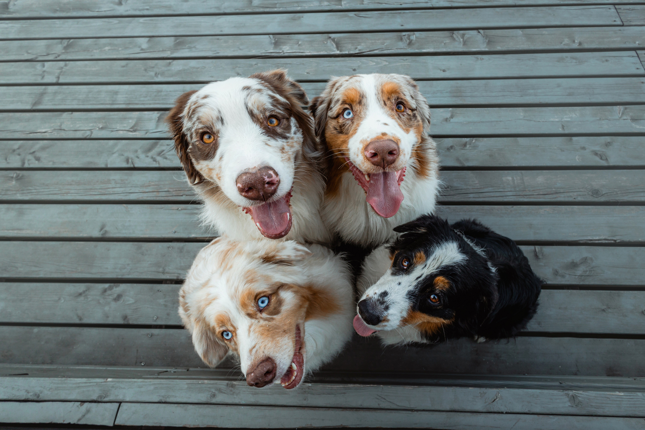 Маша и ее семья