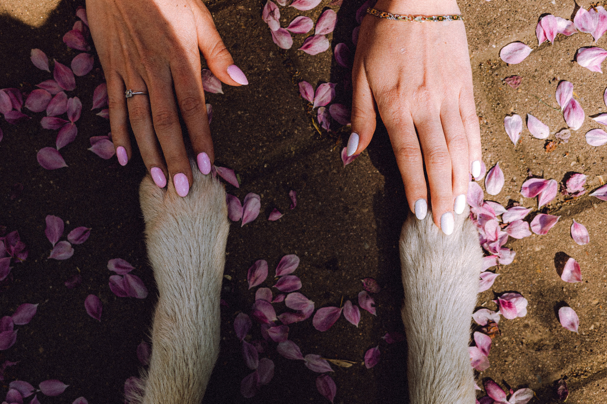 Ксюша, Андрей и Юки