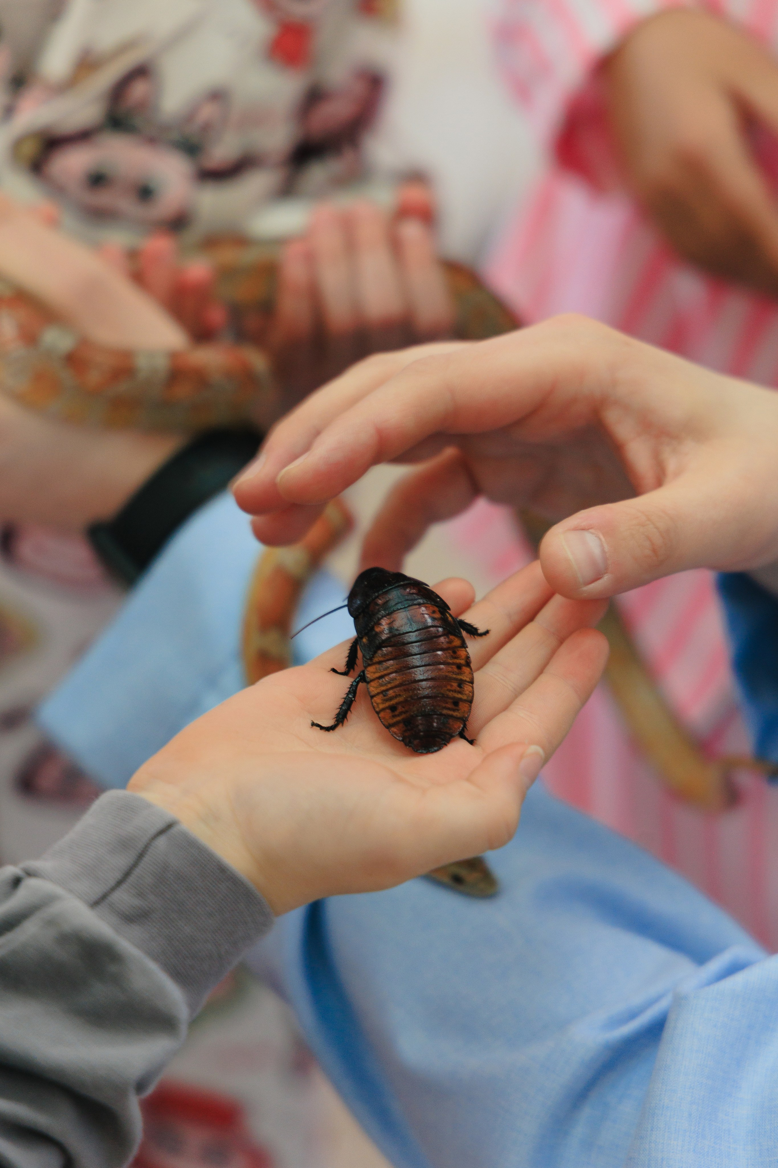 Злате 7 лет | Пуговка. Свадебный фотограф в Минске Владислав Бабич