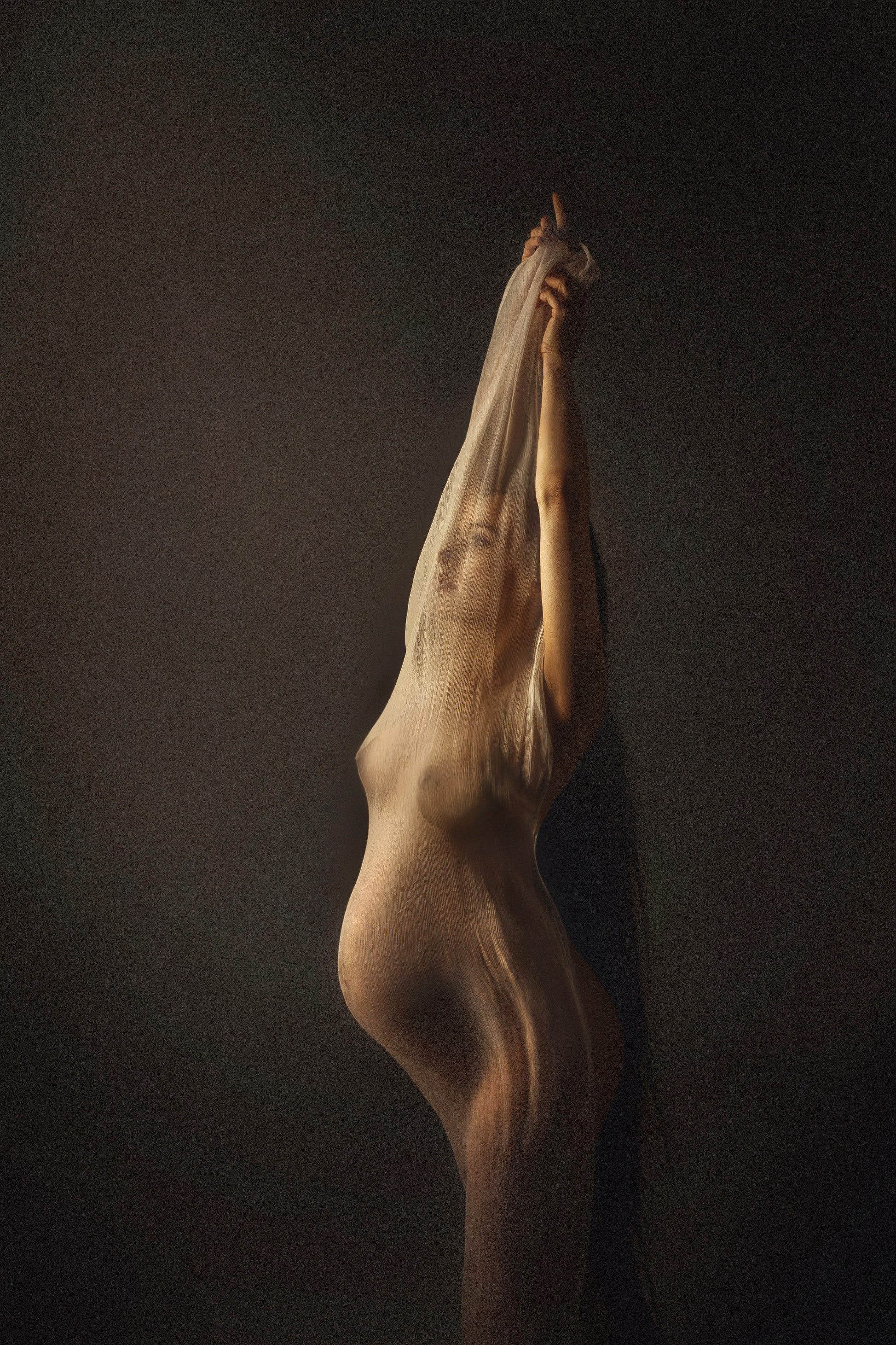 Фотограф беременности и семейный фотограф в Могилеве, Минске Елена Шин