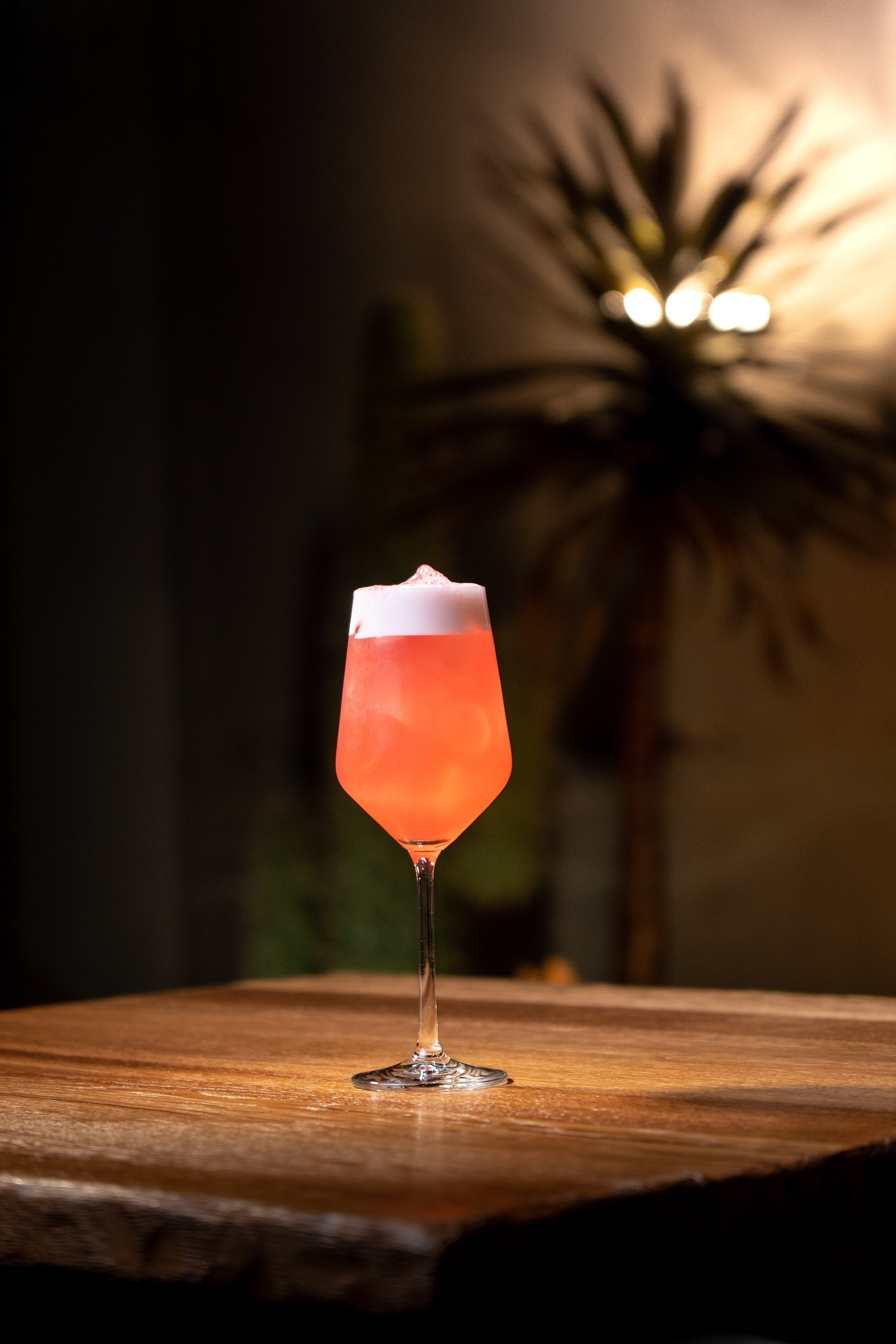 Yucca bar. Фотограф и видеограф Максим Карпов Воронеж