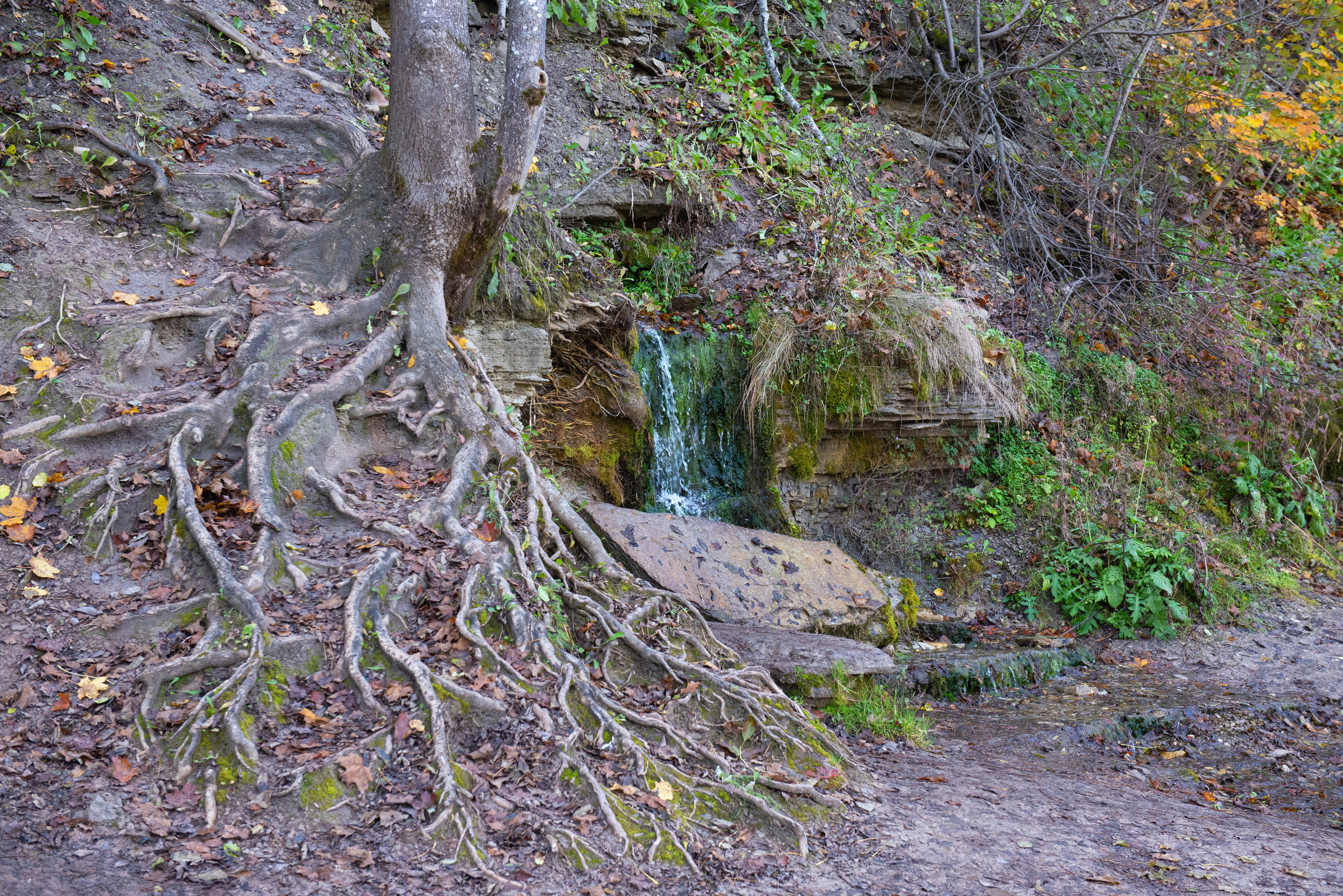 Изборск. Портретный и архитектурный фотограф в Москве и Санкт-Петербурге