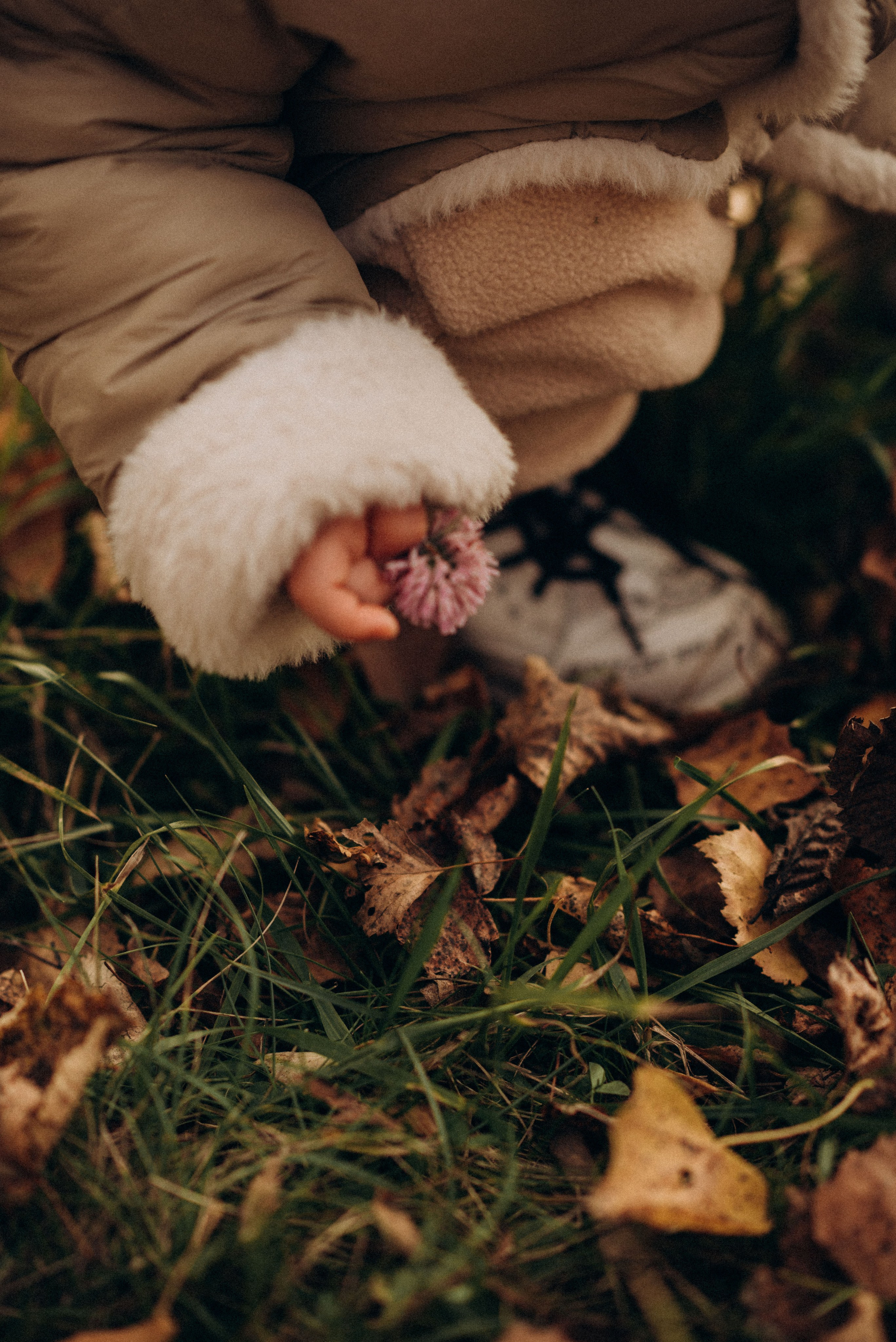 Осенняя фотосессия в парке. Семейный фотограф в Домодедово и Москве Елена Пичугина