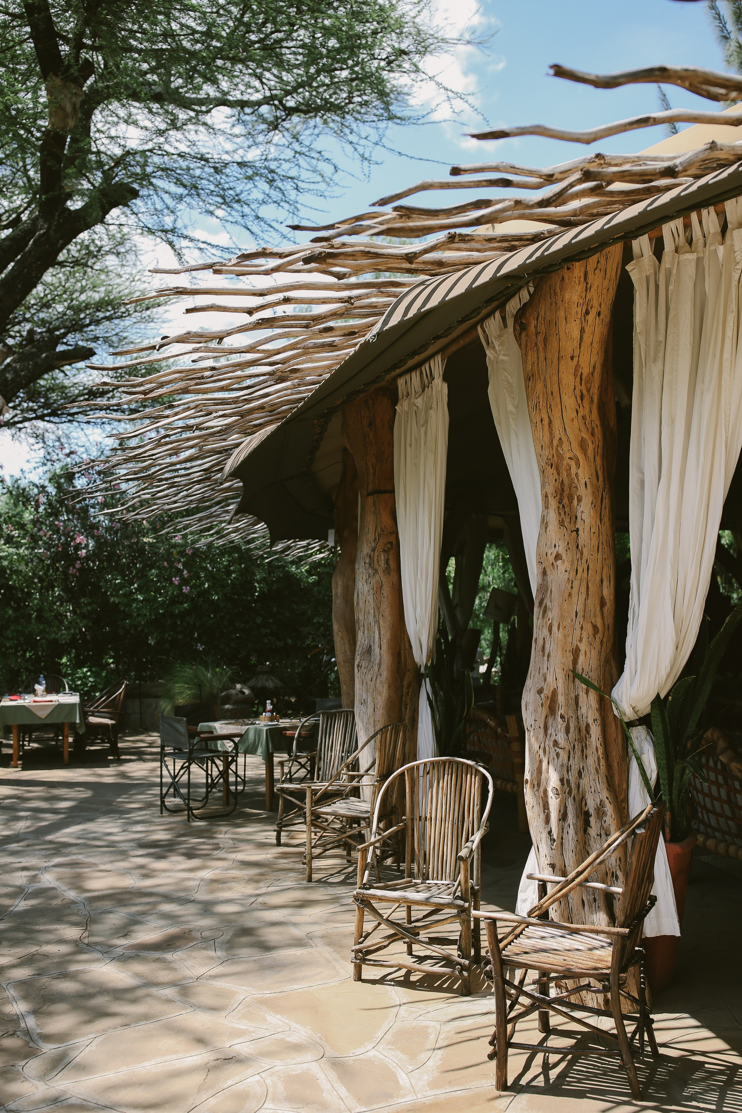 Kenya. Safari. Ekaterina Buneeva Photography