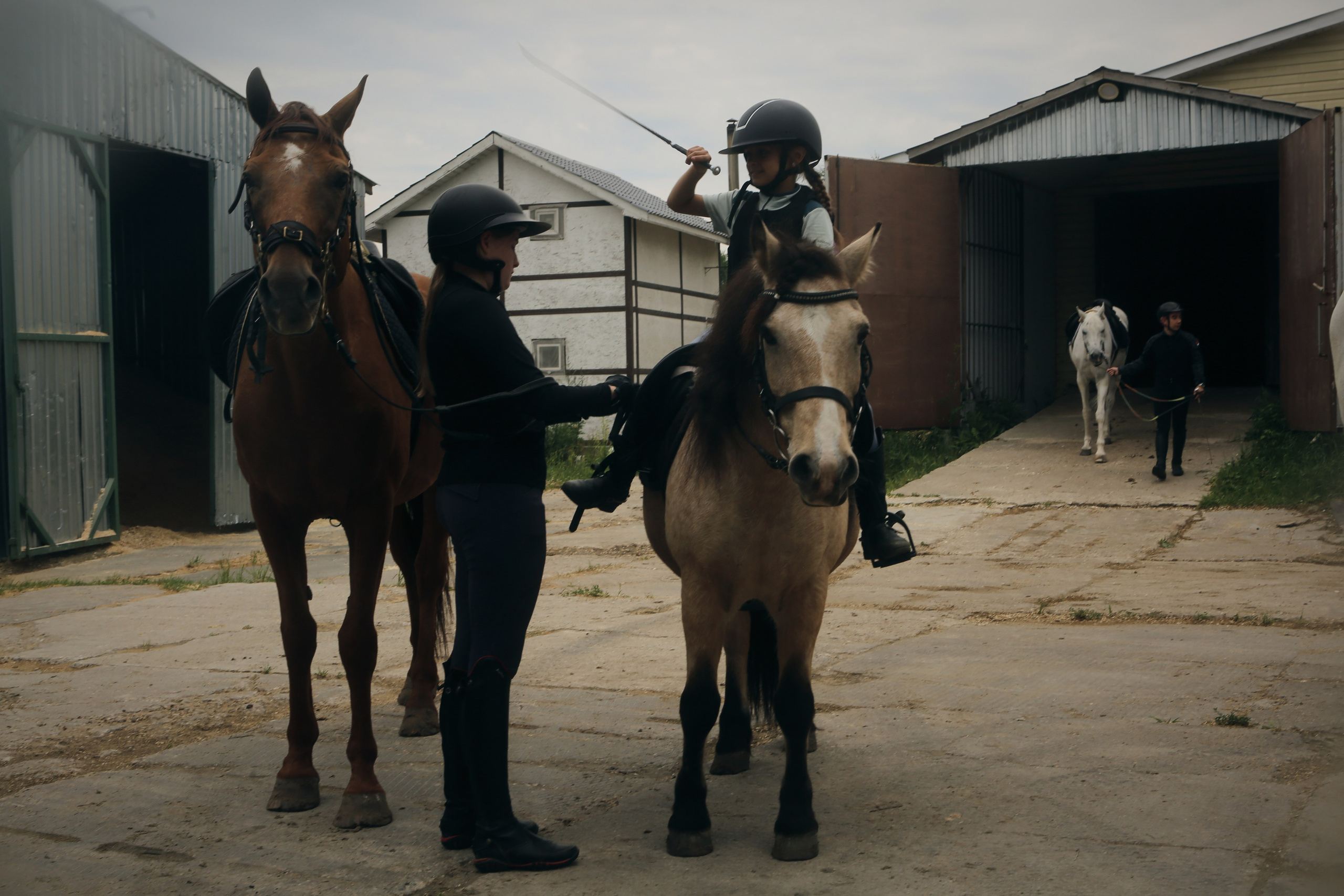 In a horse club NIMB. Фотограф Антонина Гудкова