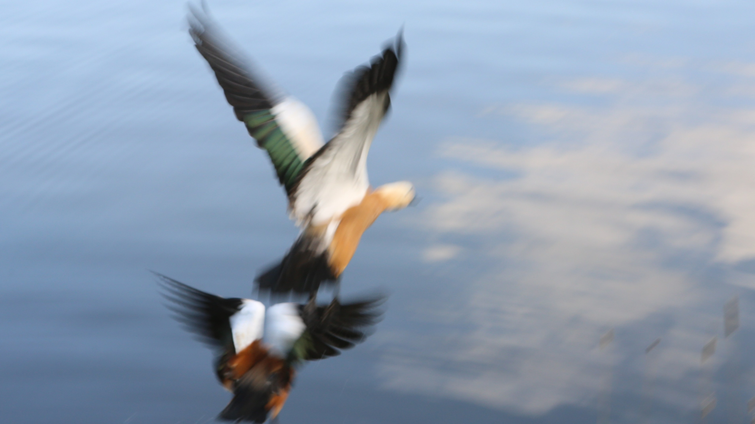 Скандинавская прогулка в Царицынском парке. Фотограф Антонина Гудкова