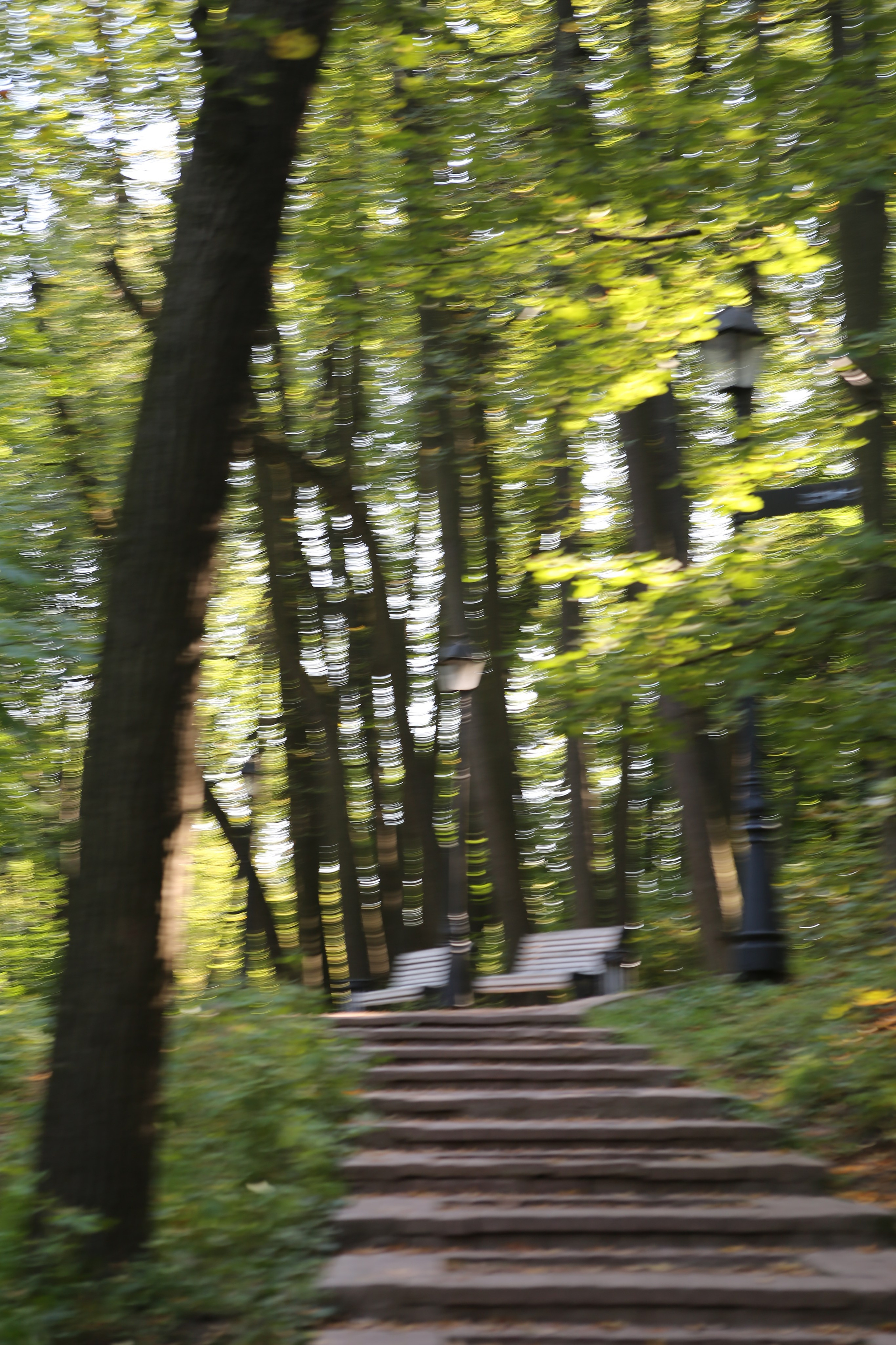 Скандинавская прогулка в Царицынском парке. Фотограф Антонина Гудкова