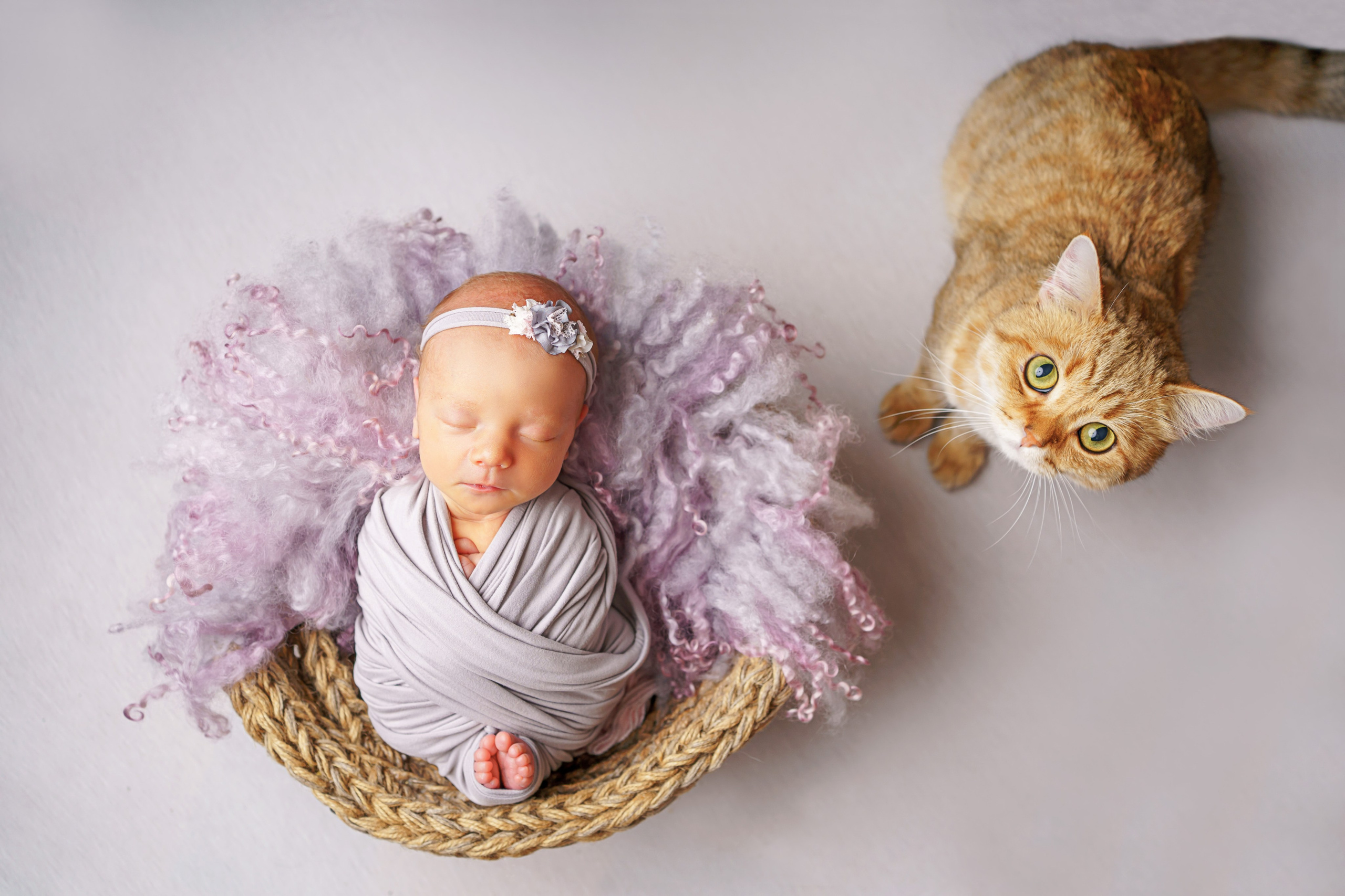 Всегда на съёмках предлагаю сделать кадры с пушистыми членами семьи♥