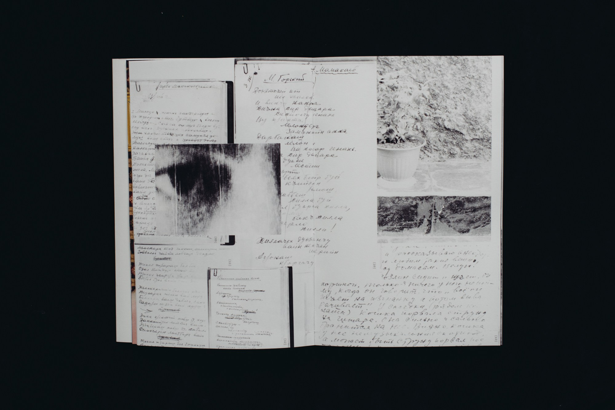 Цифровые тени слов. Художница Юлия Павлова