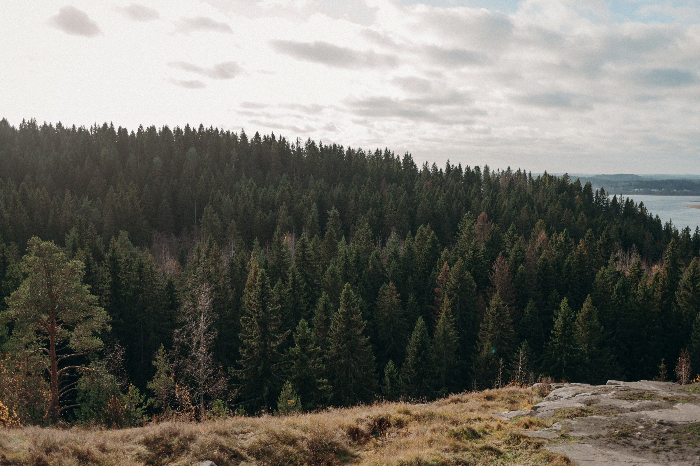 Осенняя поездка в Карелию. Свадебный фотограф в Санкт-Петербурге Венера Ахметова