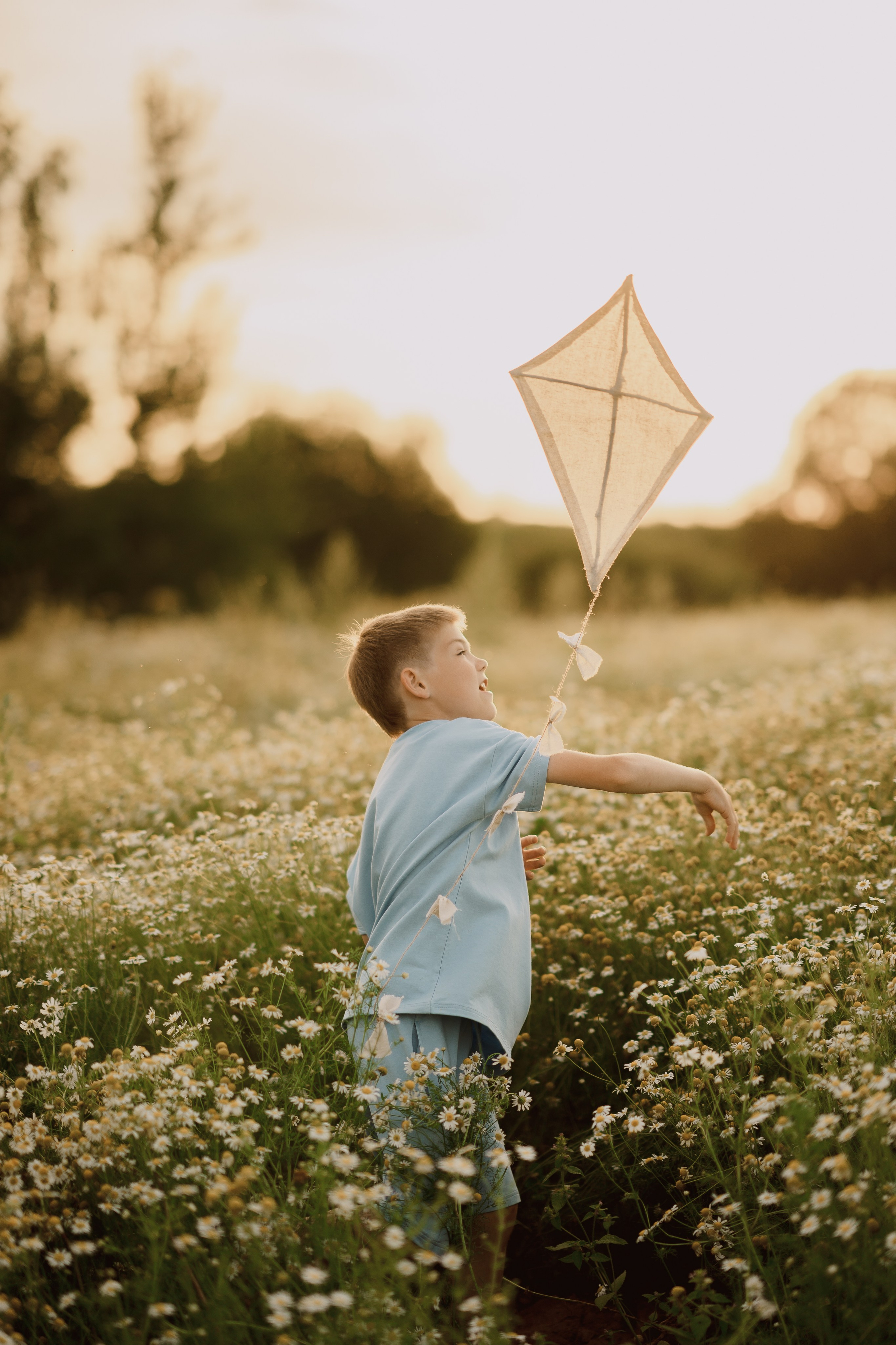 Ромашковое поле. Радонеж. Семейный и детский фотограф в Сергиев Посаде, Хотьково Якимчук Любовь