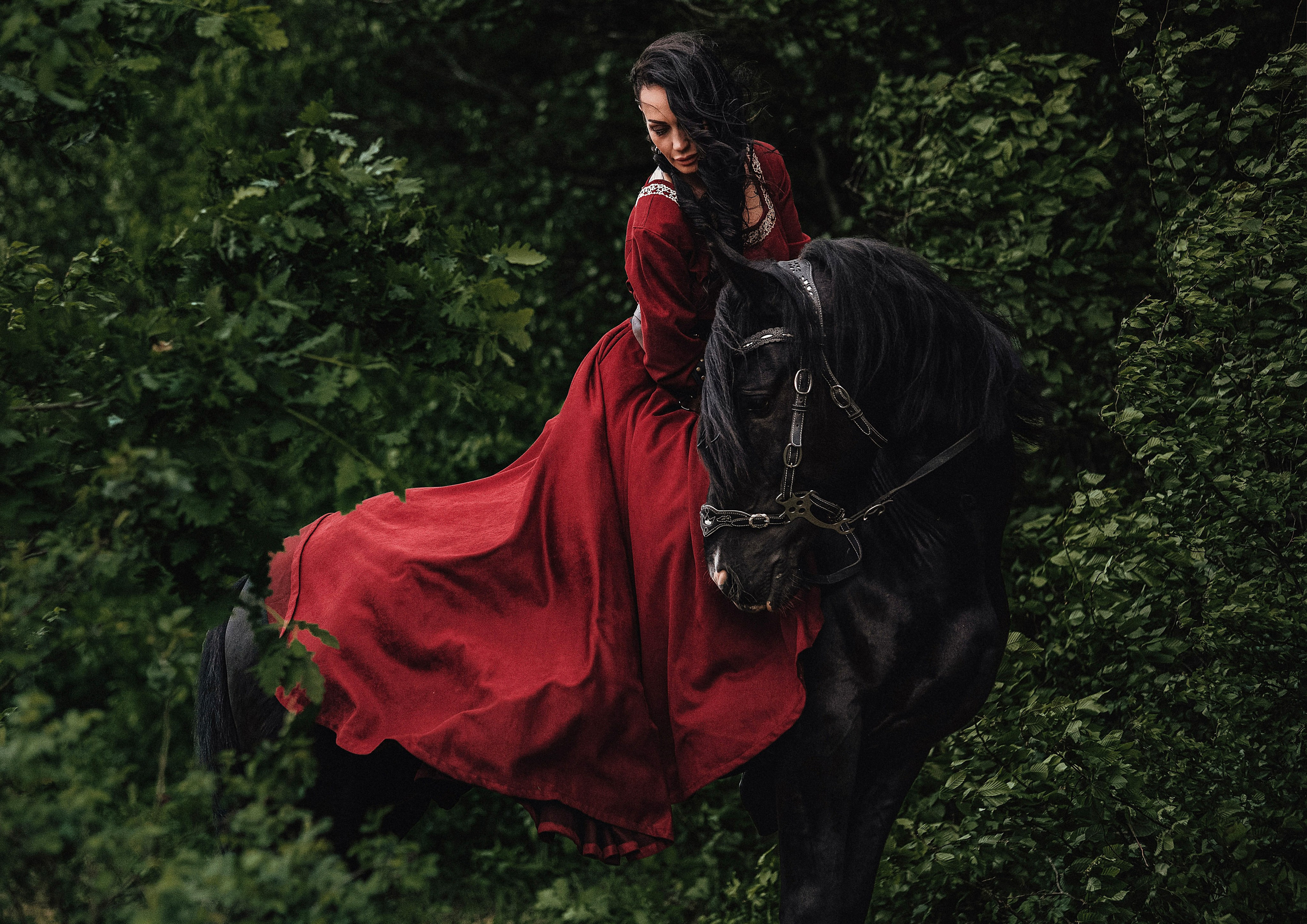 Викинг. Конный и театральный фотограф Анапа
