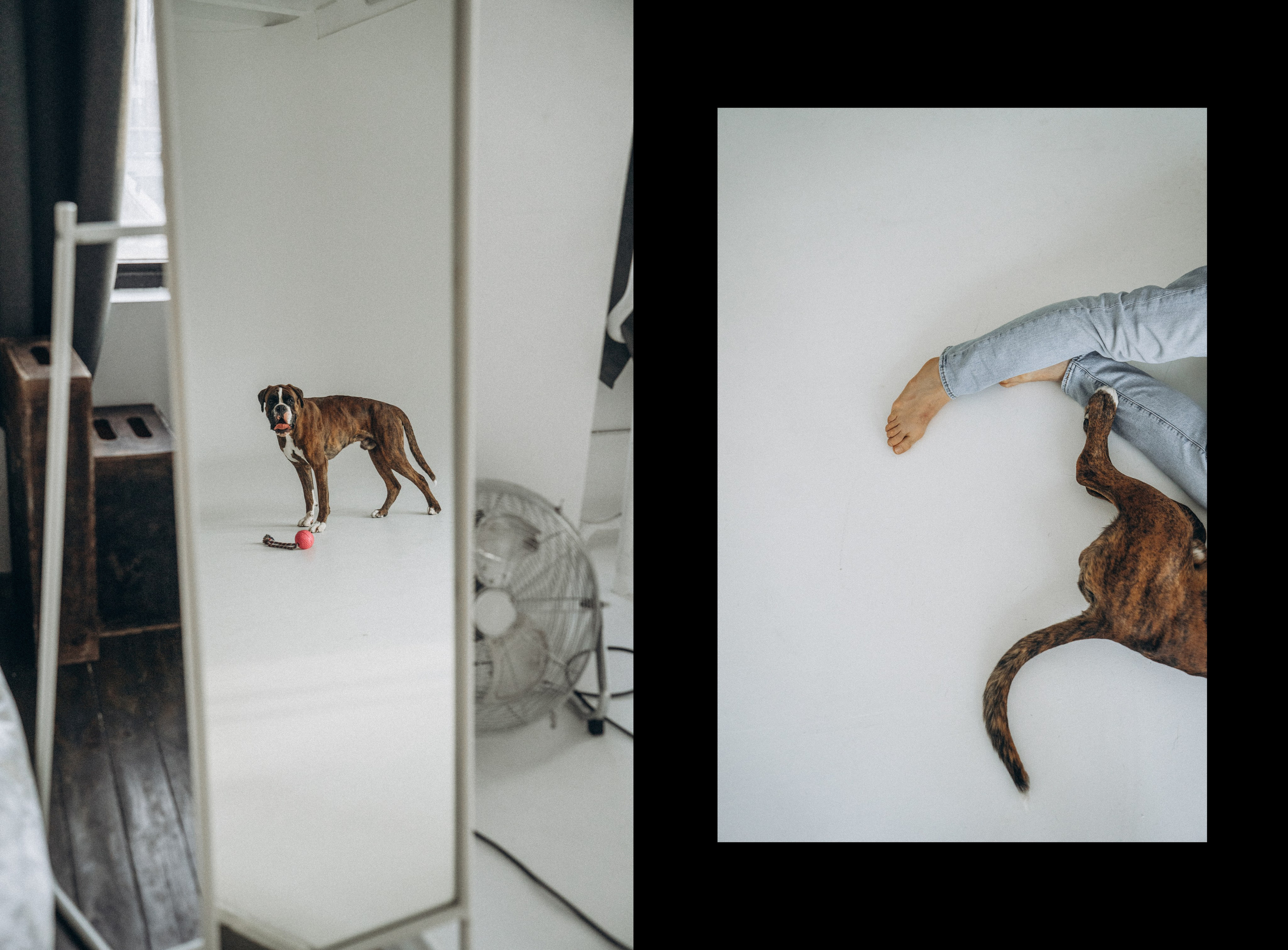 Анна, Максим и Марсель. Фотограф анималист в Москве и Санкт-Петербурге Свиридова Анна