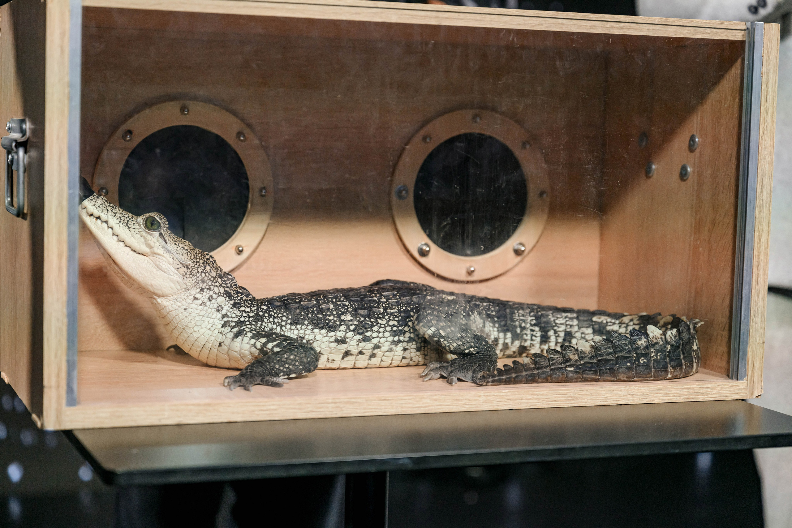 Happy Birthday. Максим Комаров — Профессиональный фотограф
