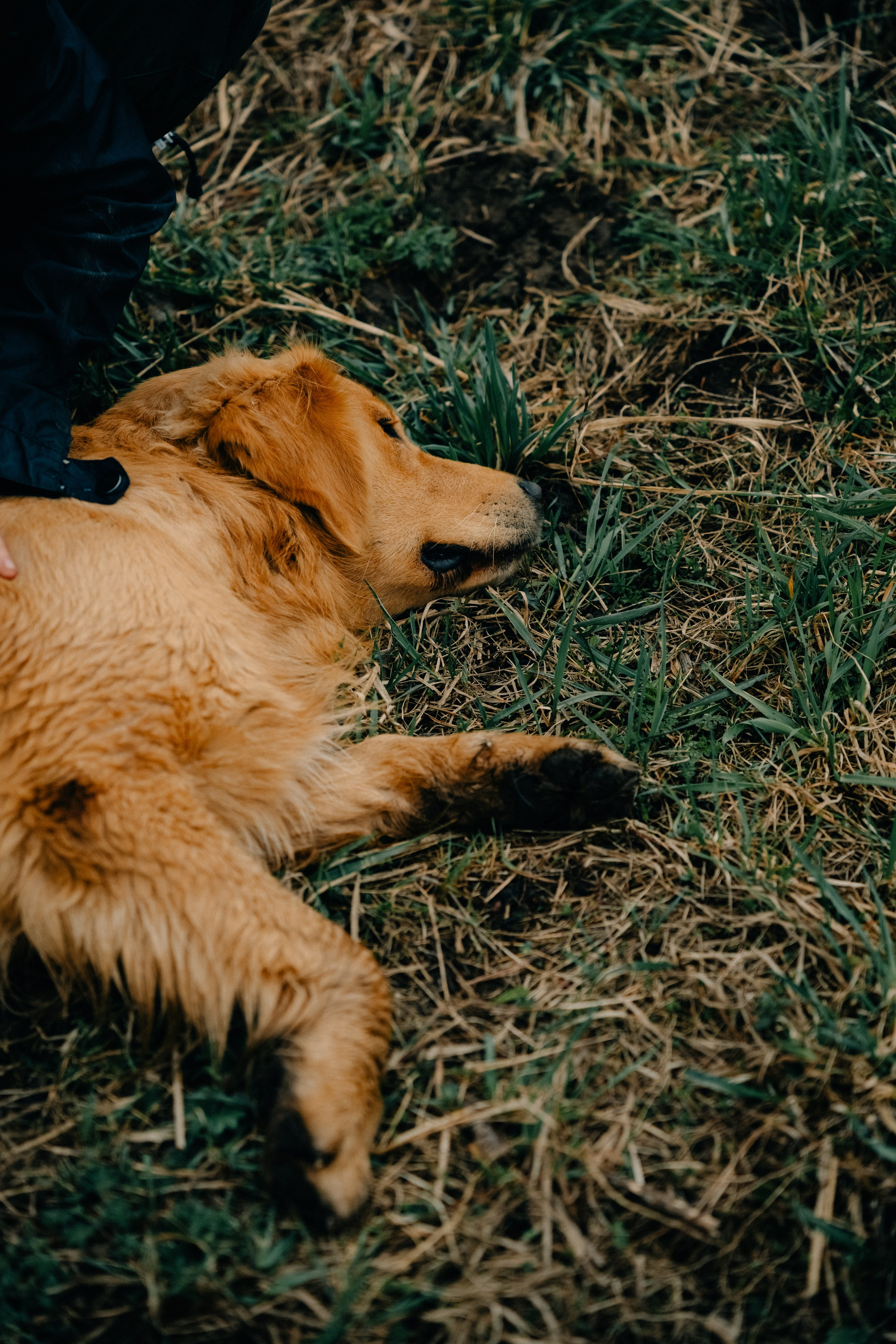 Зоопарк в моём багаже. Кошенкова Мария: портретный и репортажный фотограф. Санкт-Петербург