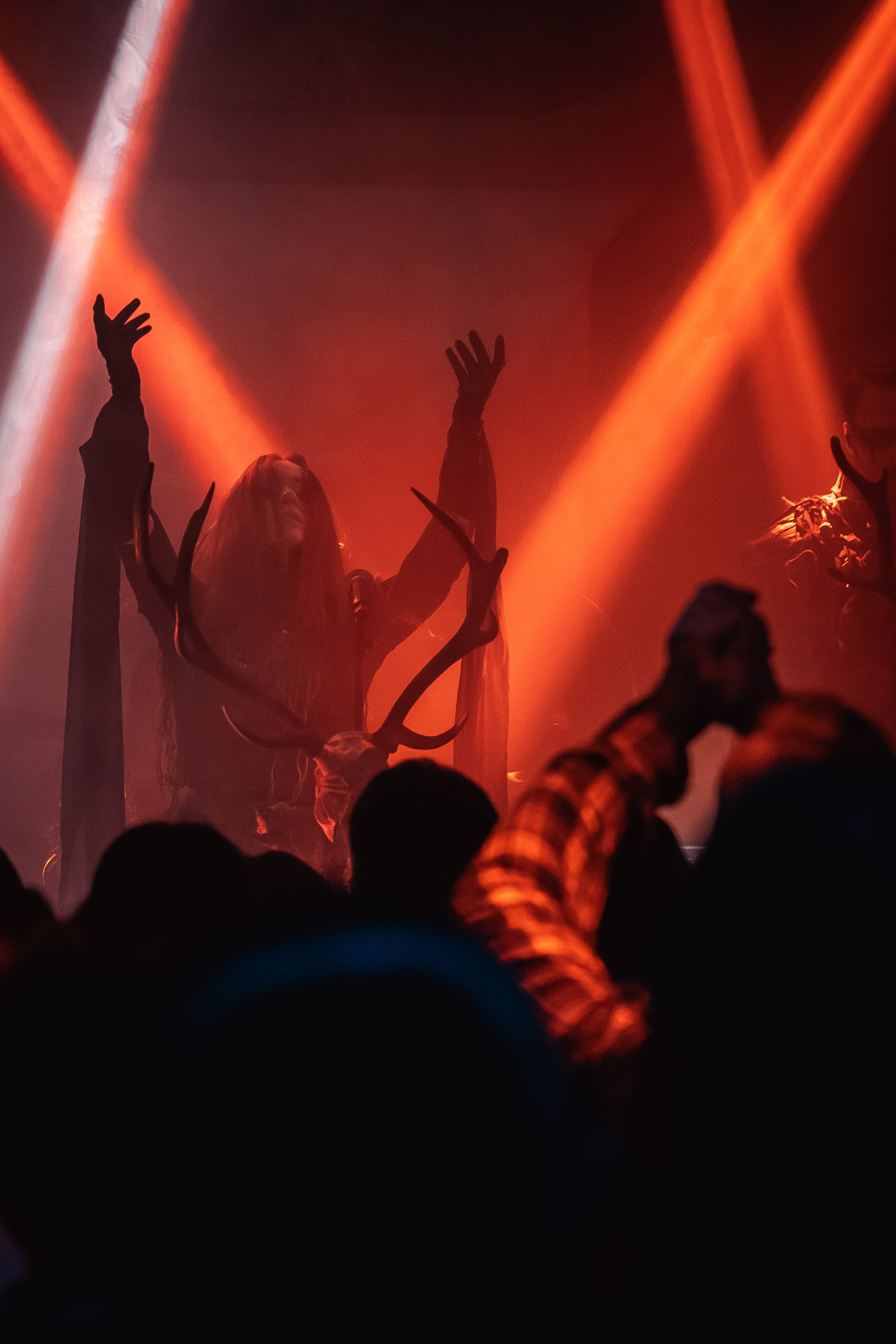 Мещера, Эрмитаж, 22.02.2026. Фотограф Регина Крикунова г. Красноярск