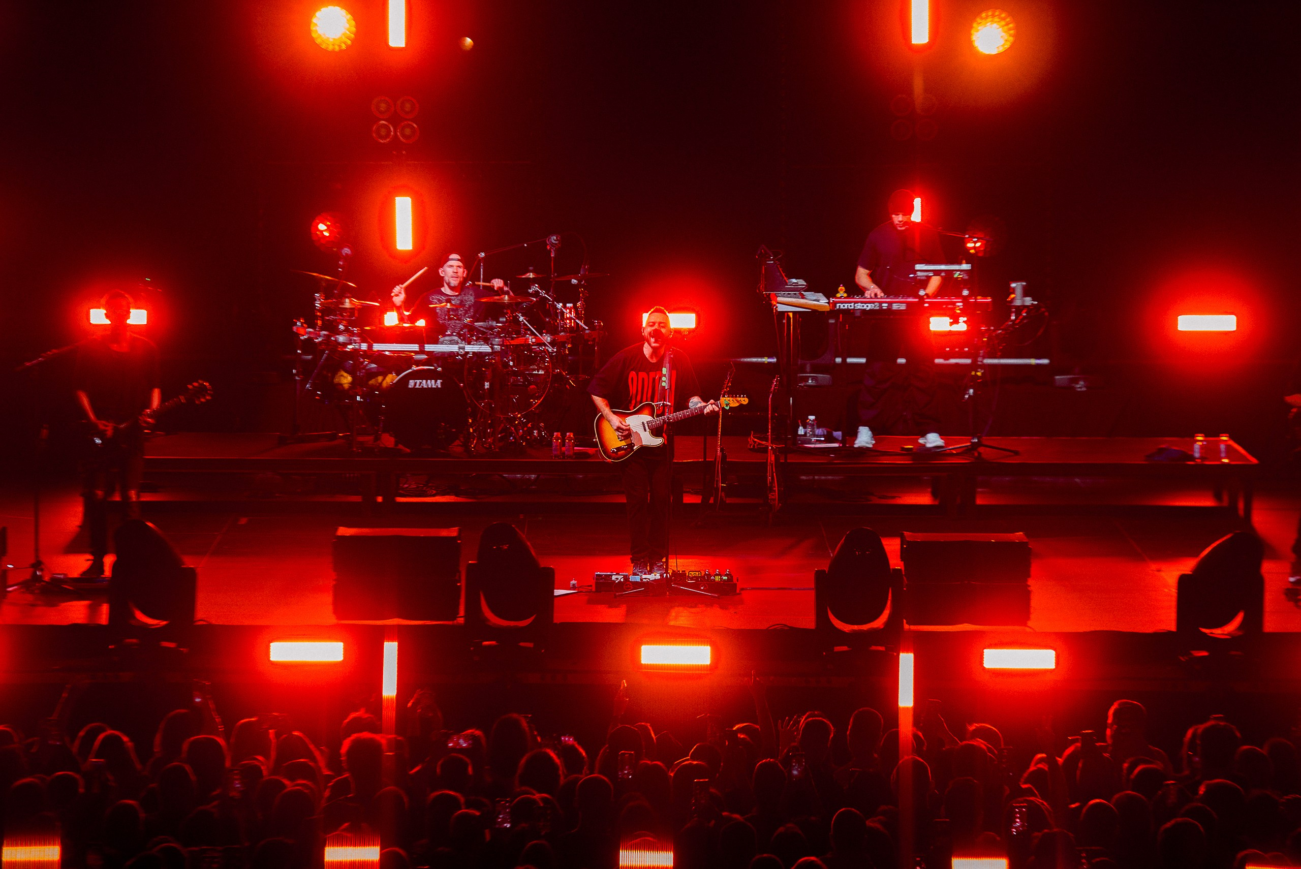 Звери 2025. Репортажный фотограф в Кемерово