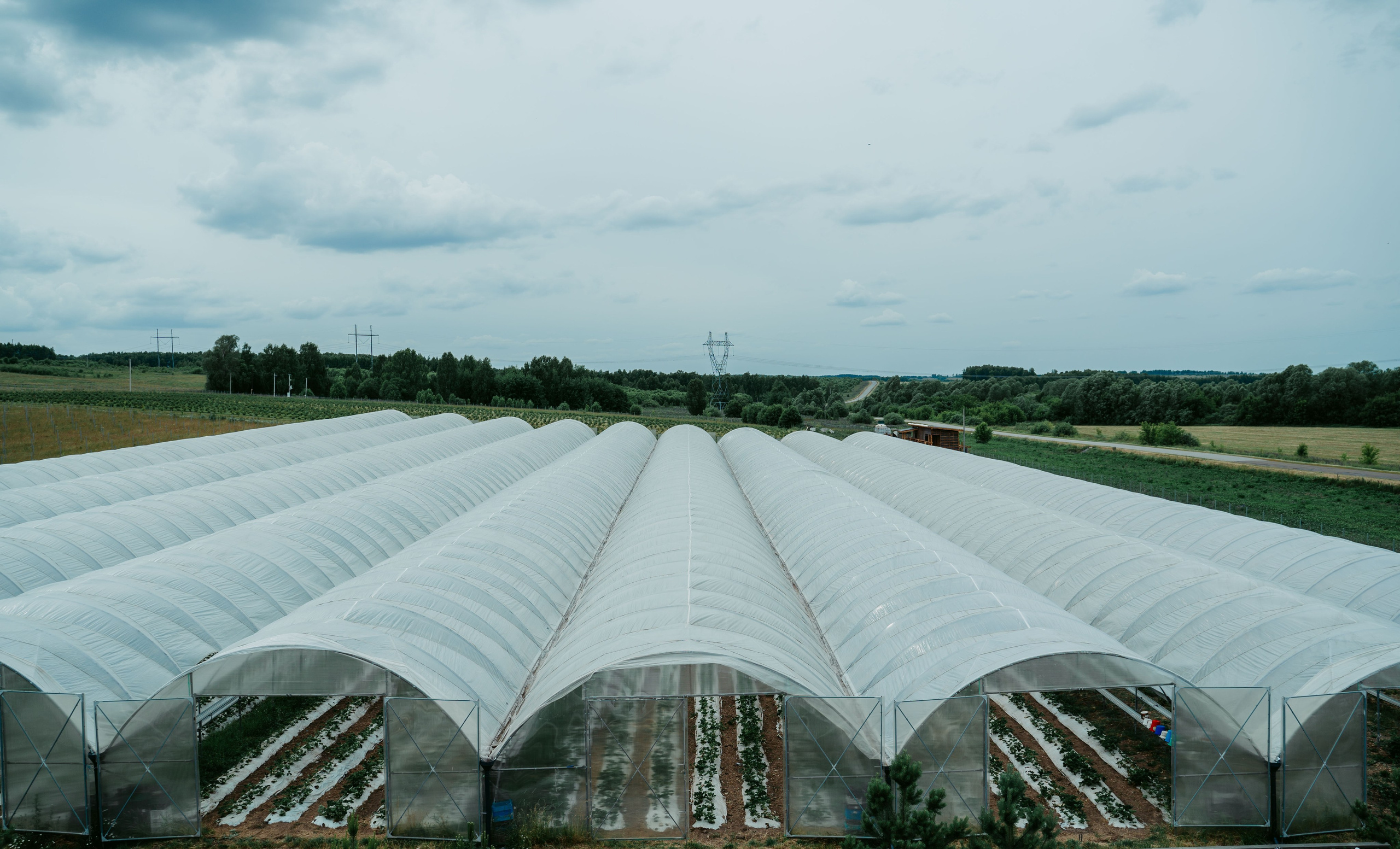 Гектария. Встреча лидеров мнений / 2023. Саша Копылов, фотограф в Казани
