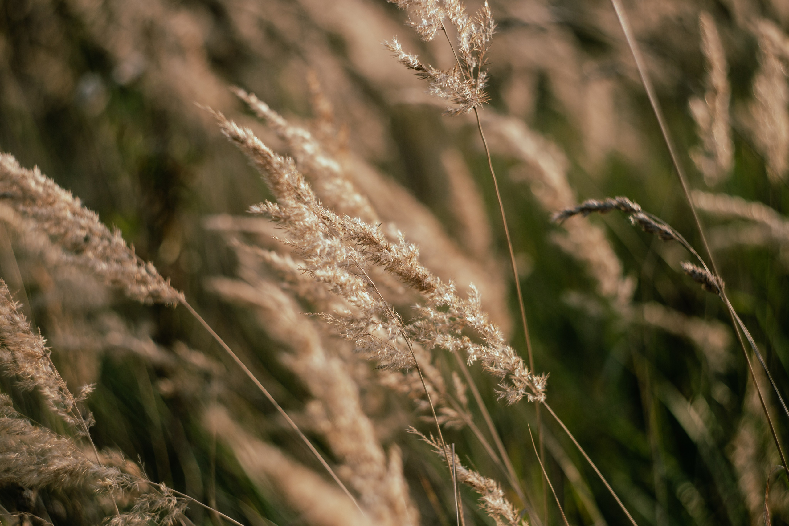 Сентябрь 2023. Efremovaphoto.ru