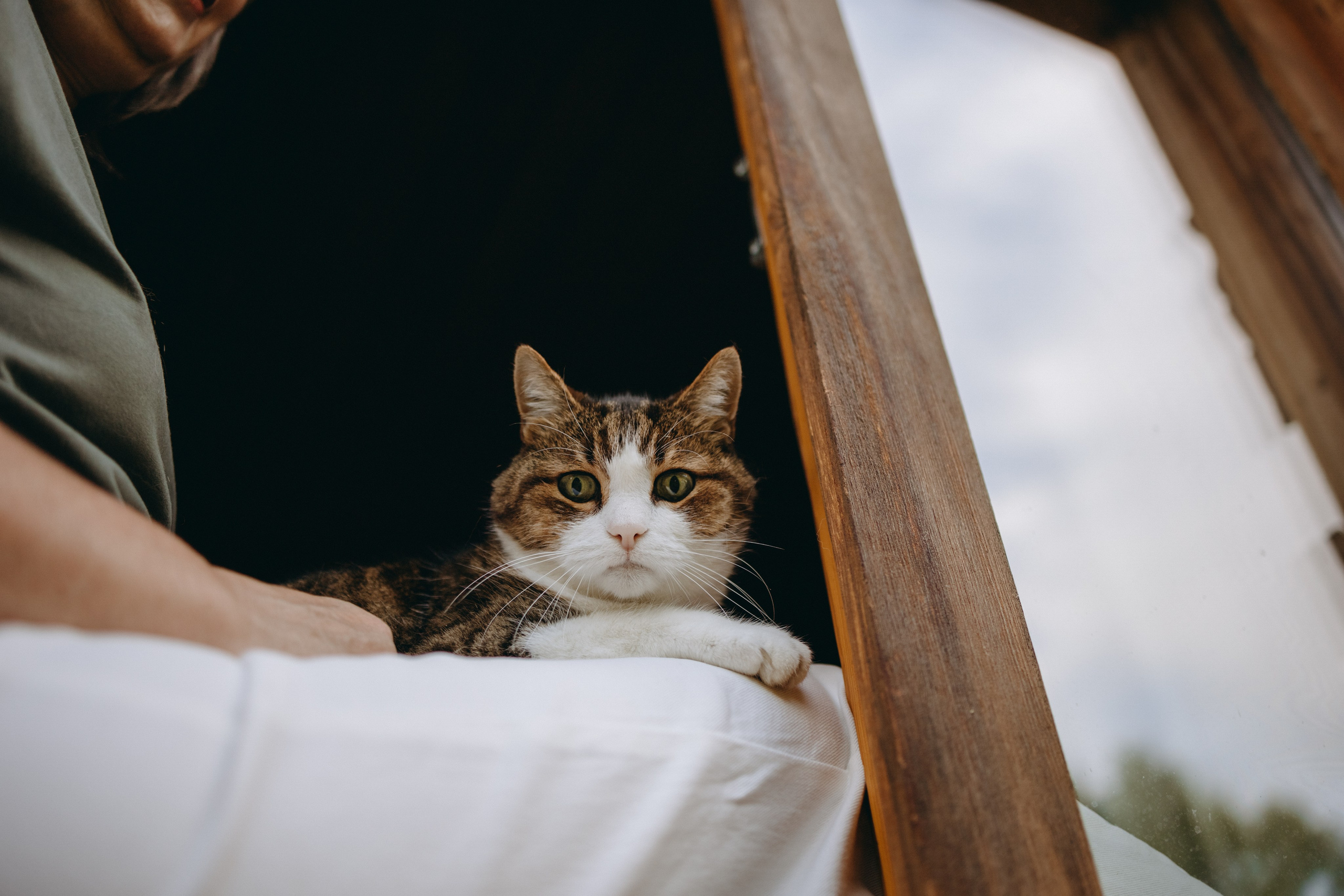 Дом у реки. Фотограф — Анималист | Санкт-Петербург