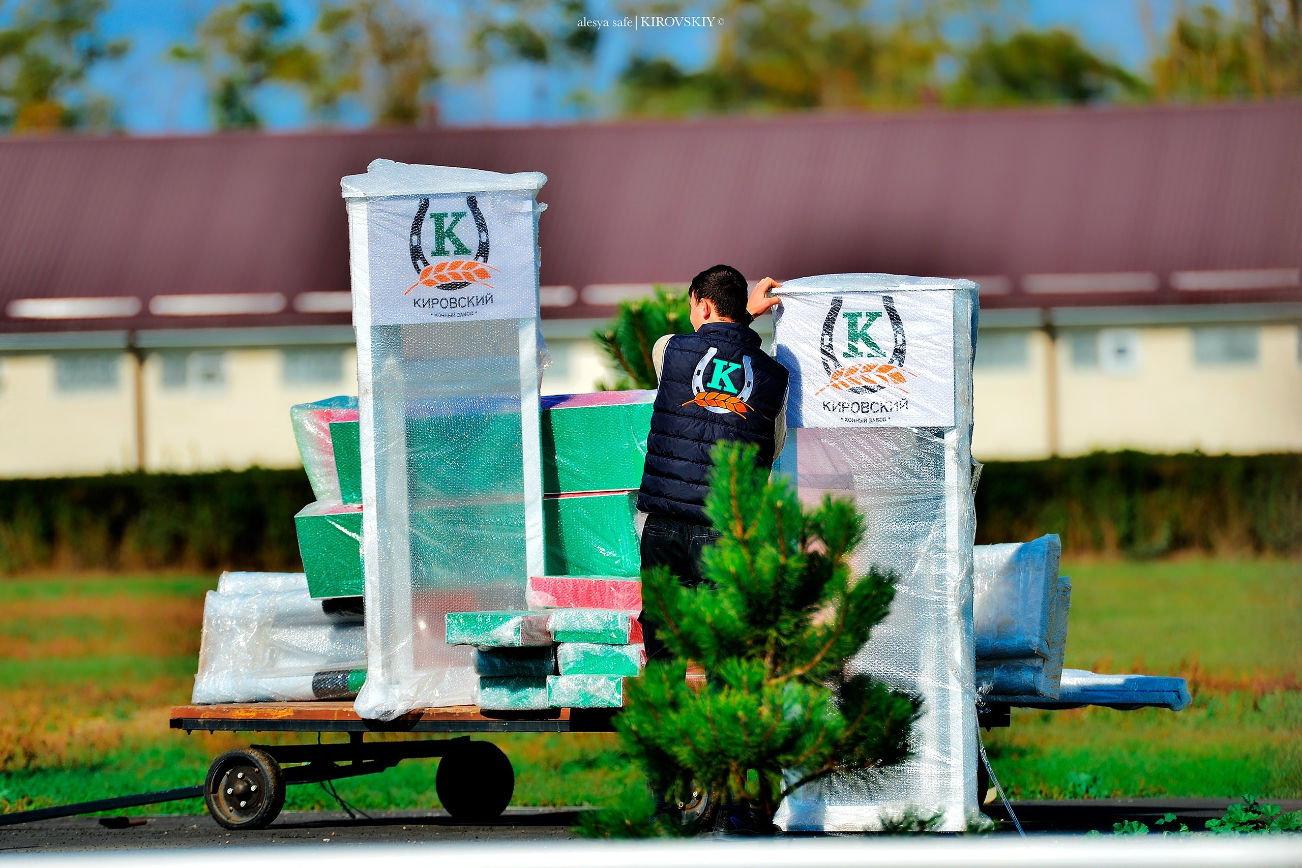 Кировский конный завод. Конный фотограф Alesya Safe