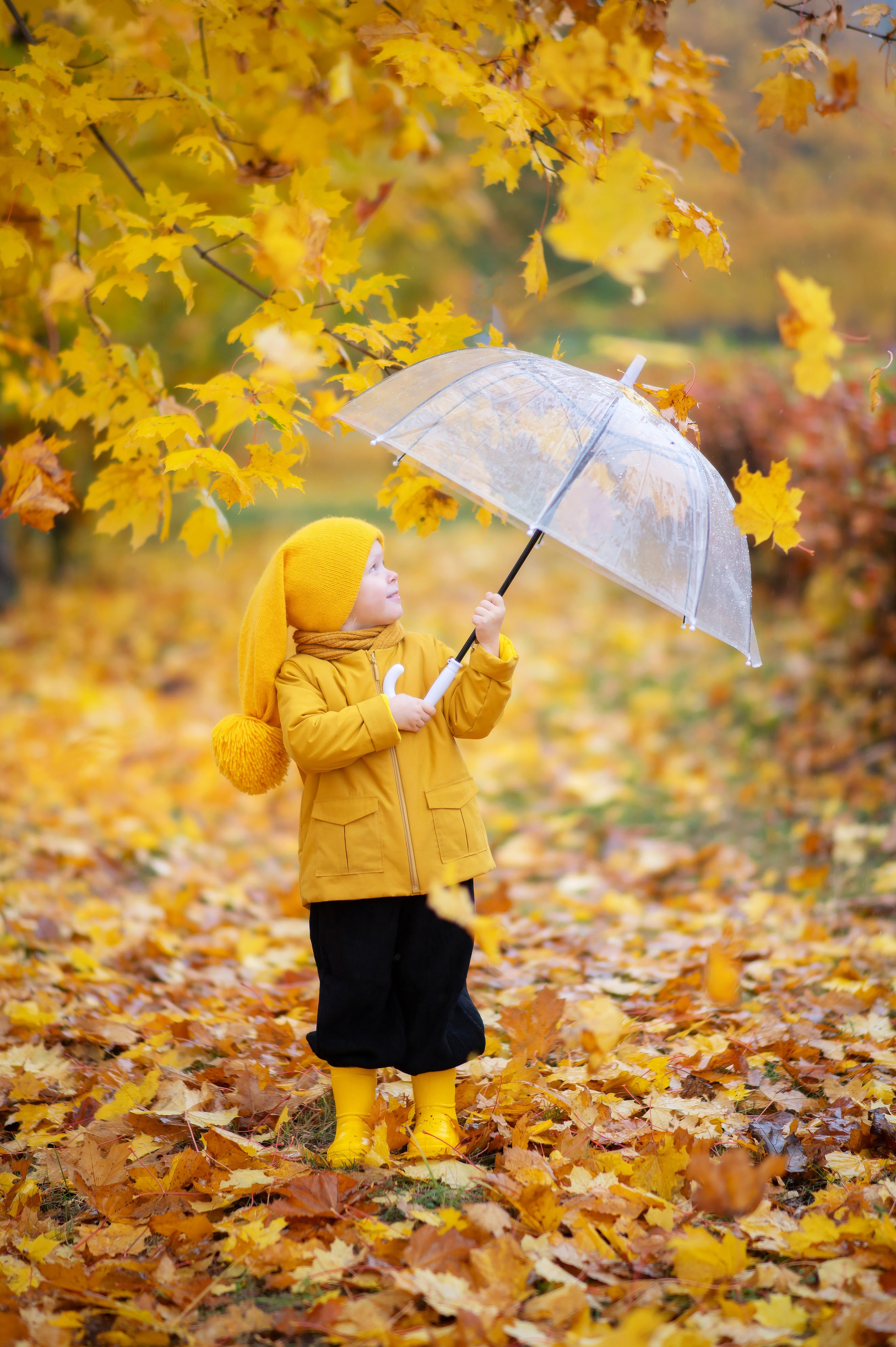 Осенние съемки 2023. Детский и семейный фотограф Москва Рязань