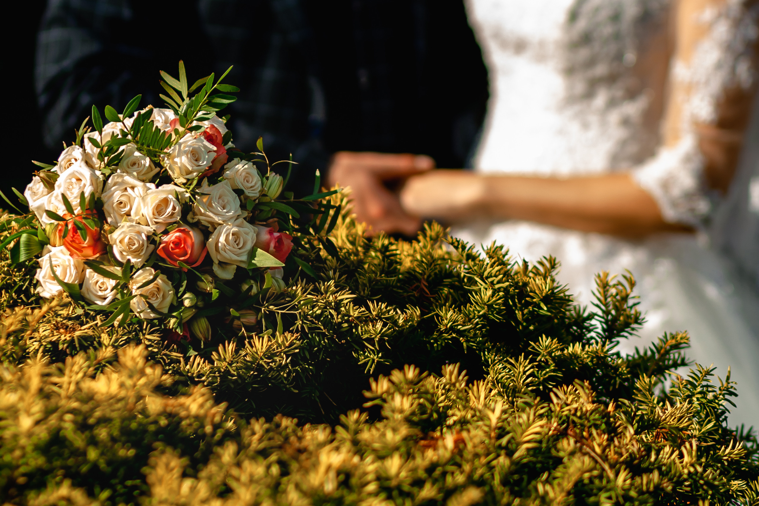 Свадьба А+А. Семейный фотограф в Минске Приболовец Светлана