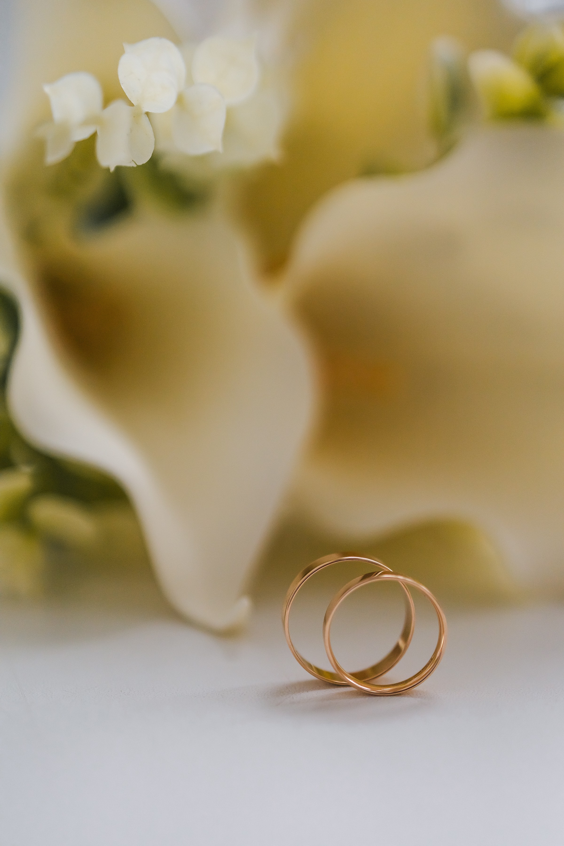 Екатерина&Антон. Семейный фотограф в Волгодонске Краченцева Анна