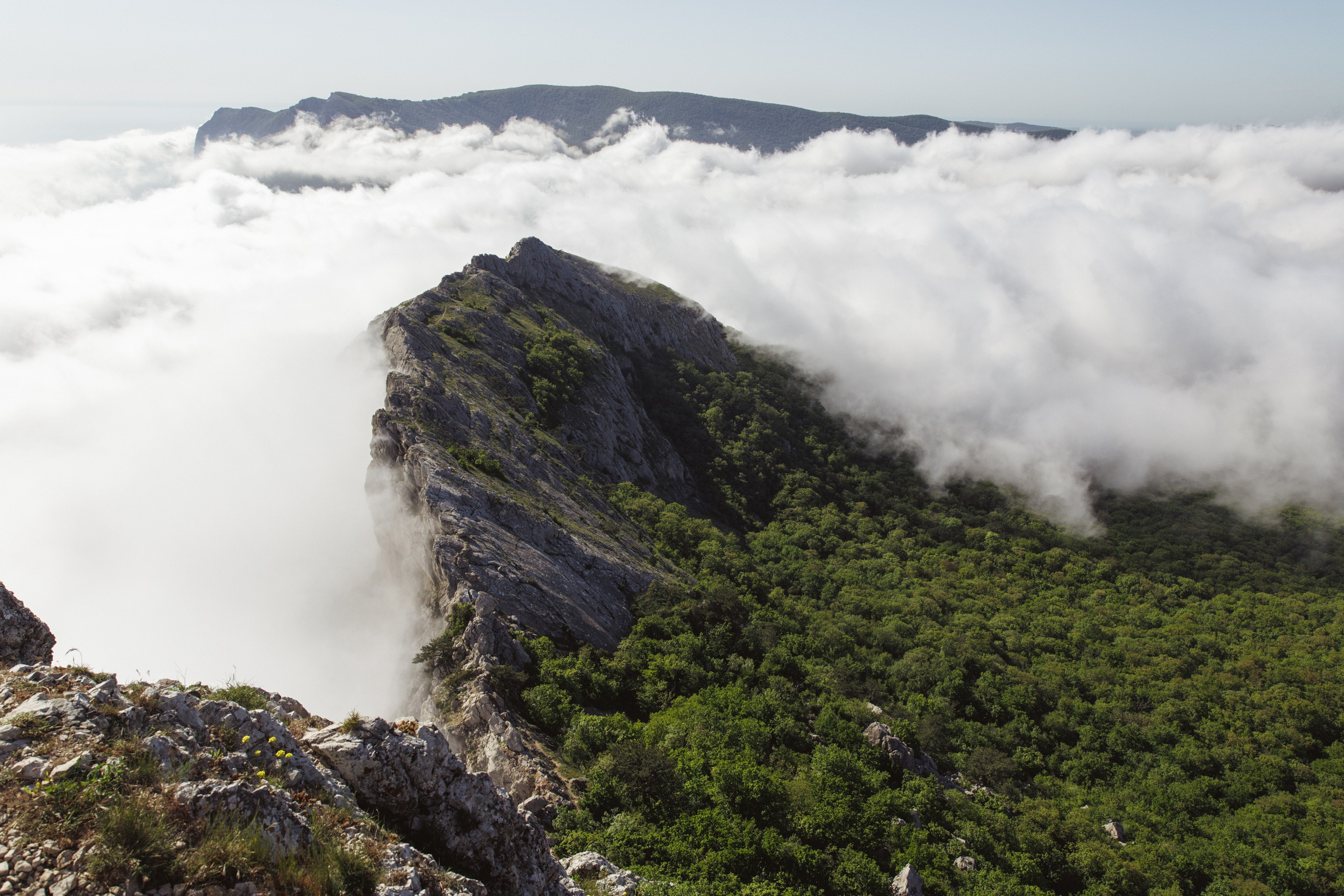 Nature. Артем Корнев Фотограф