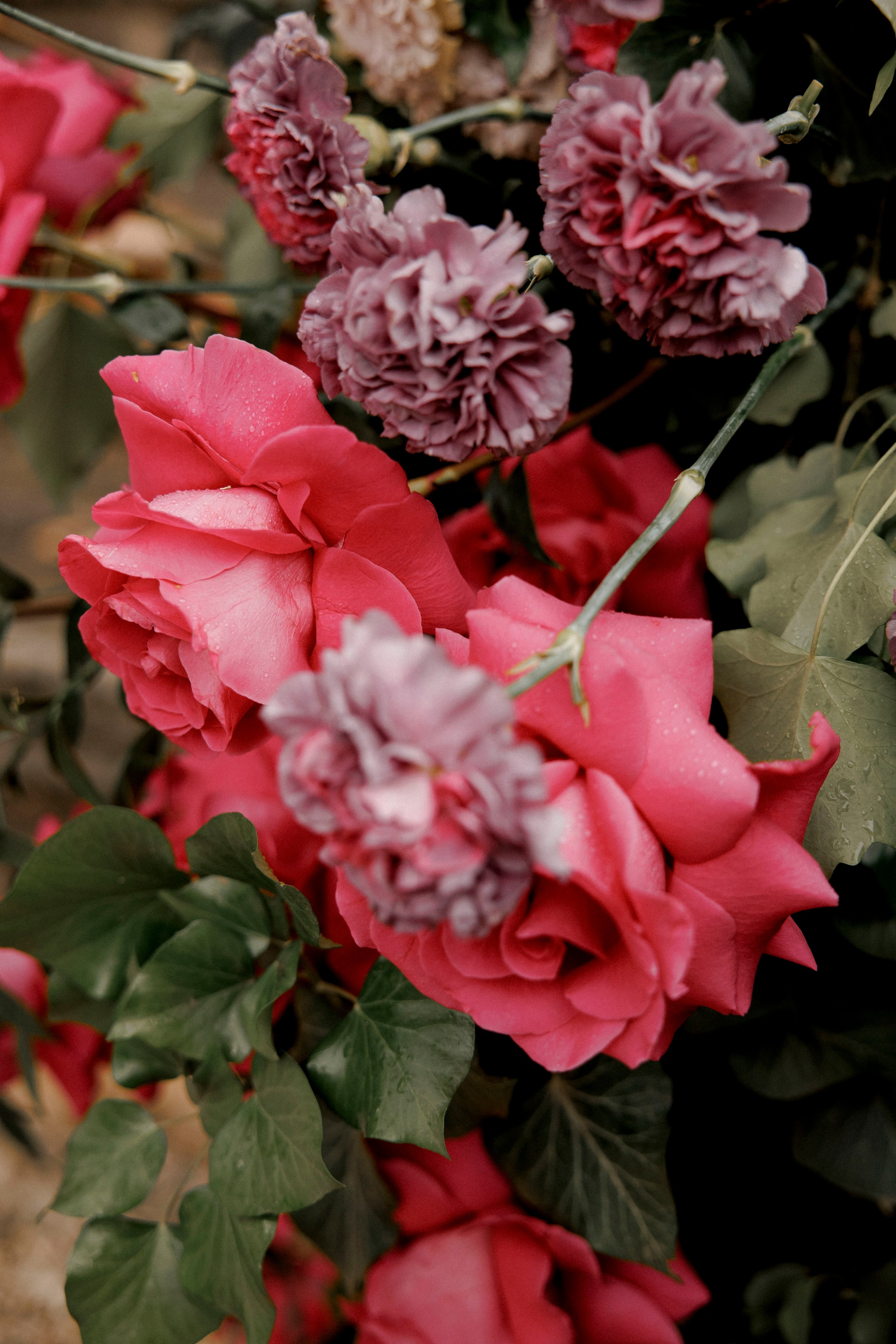 Eleonora & Lapo | Italy. Главная