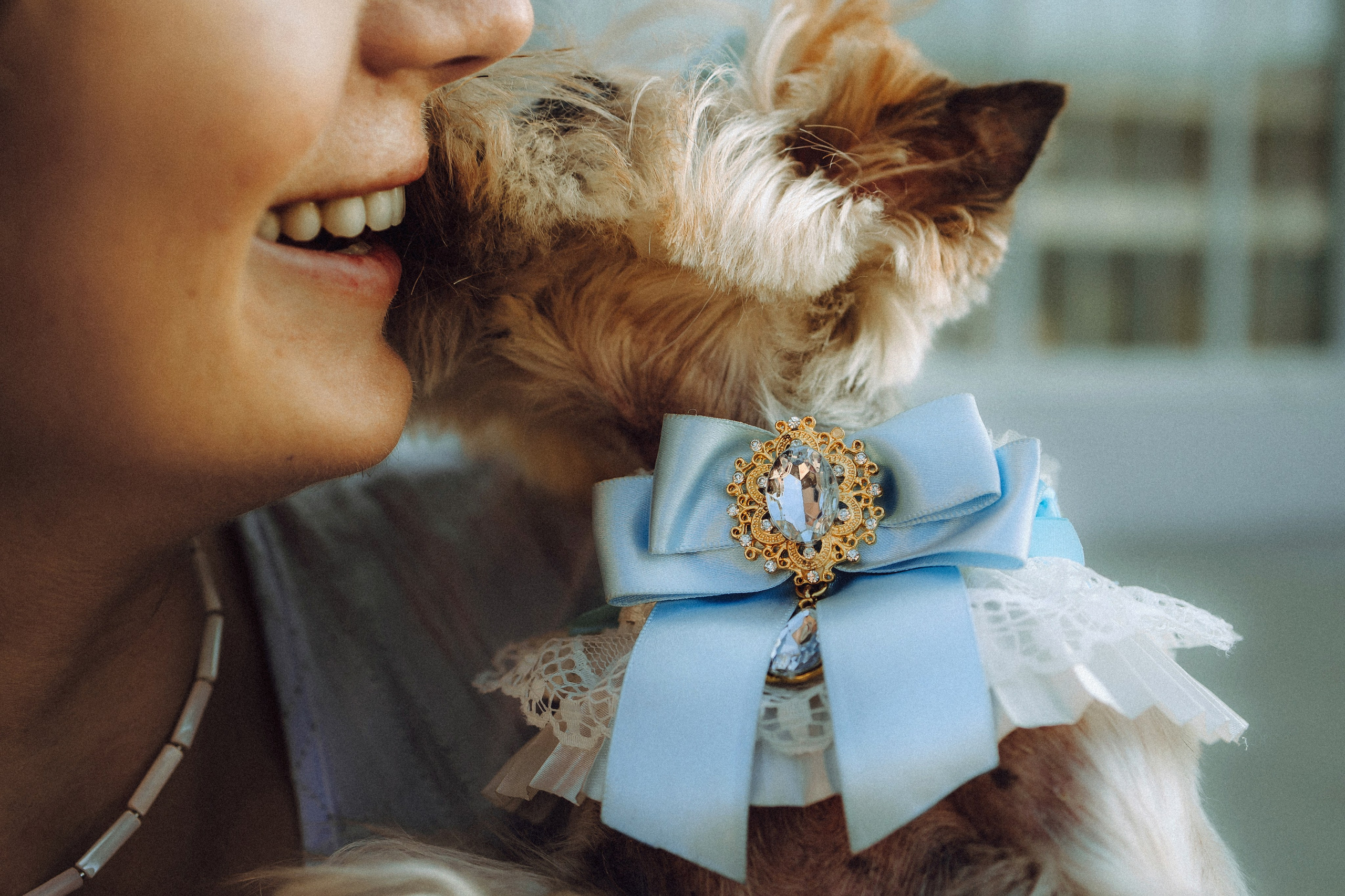 Дженни, Оливия и их семья