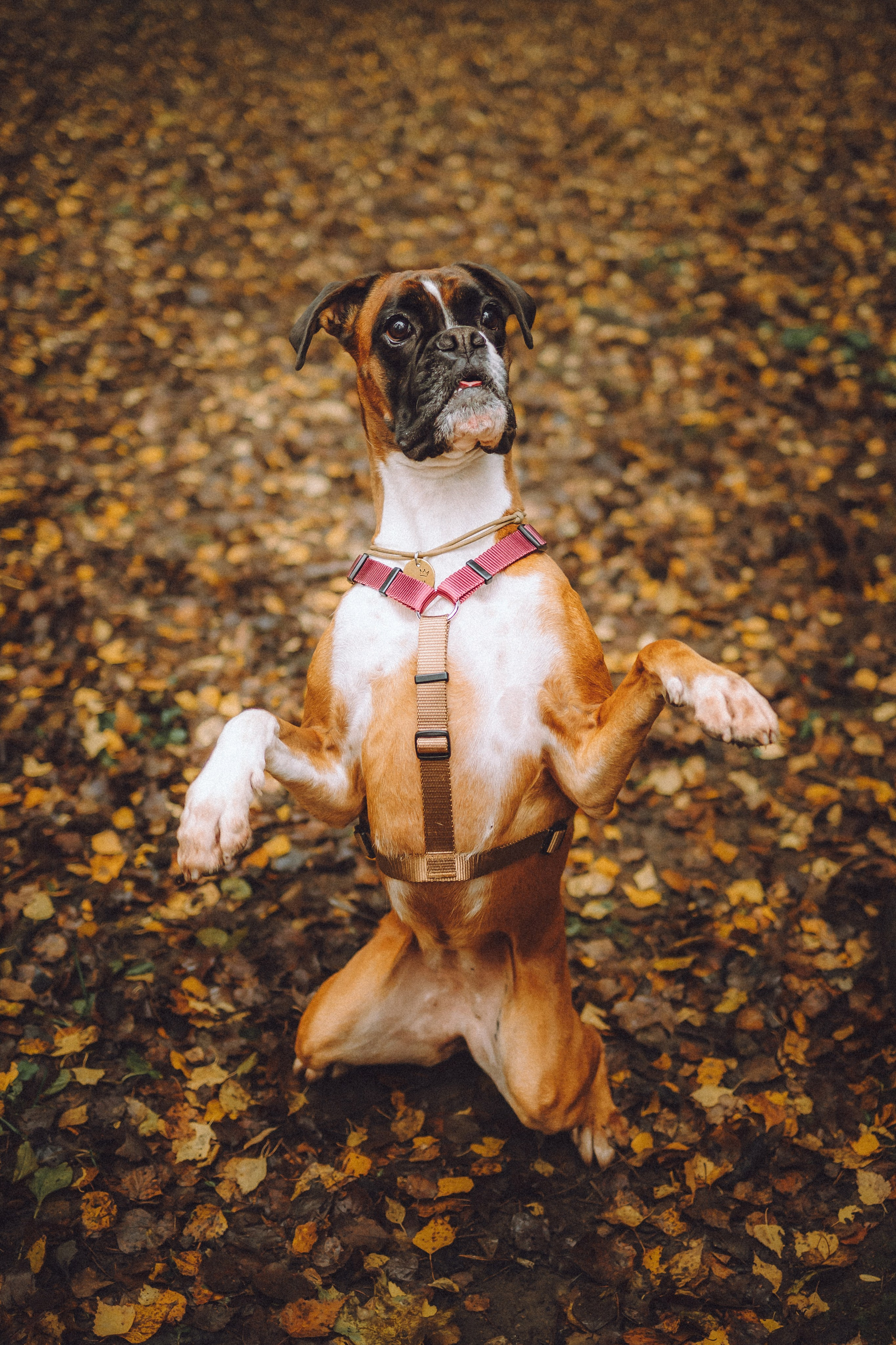 Элли и ее семья