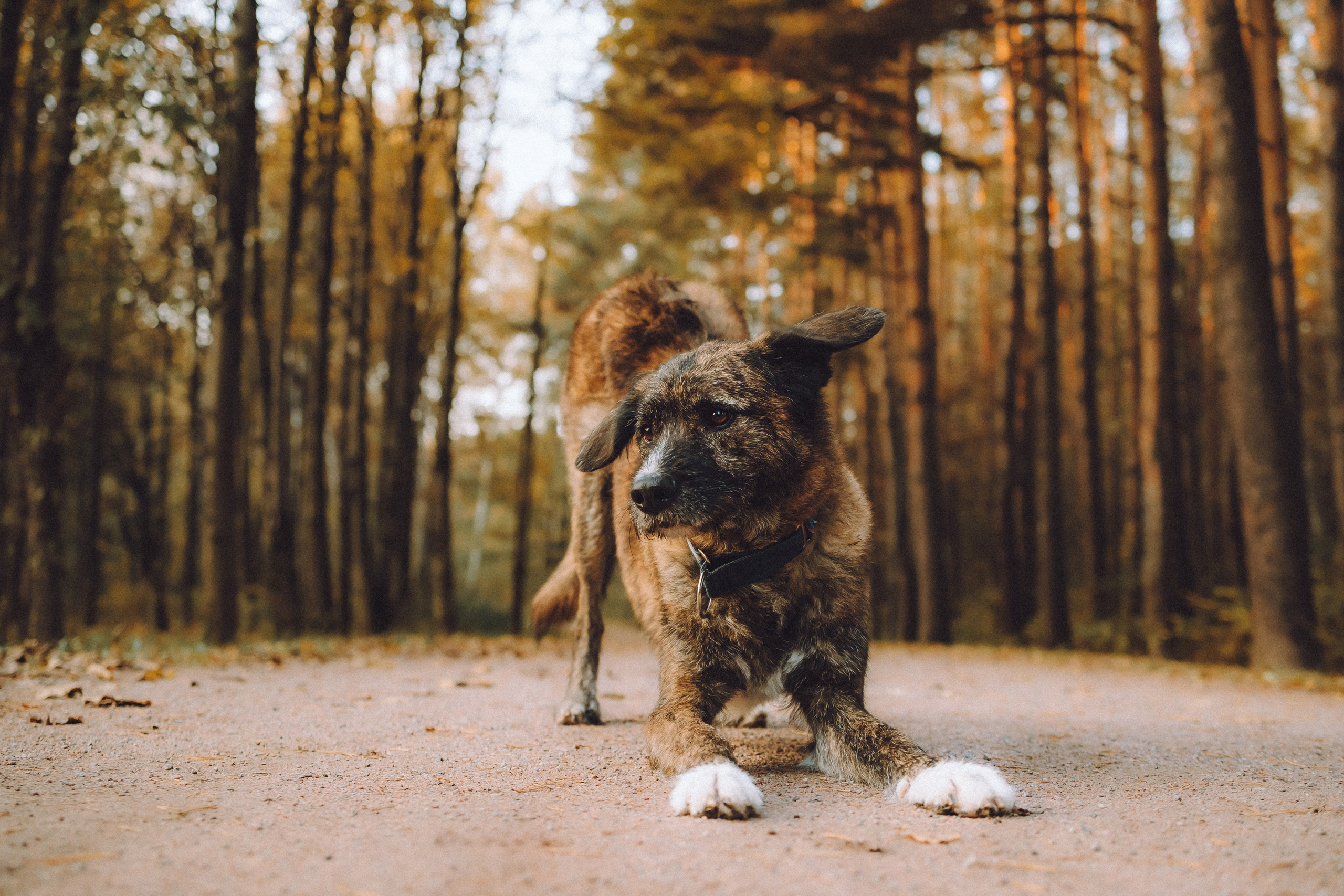 Рик, Джек и их семья