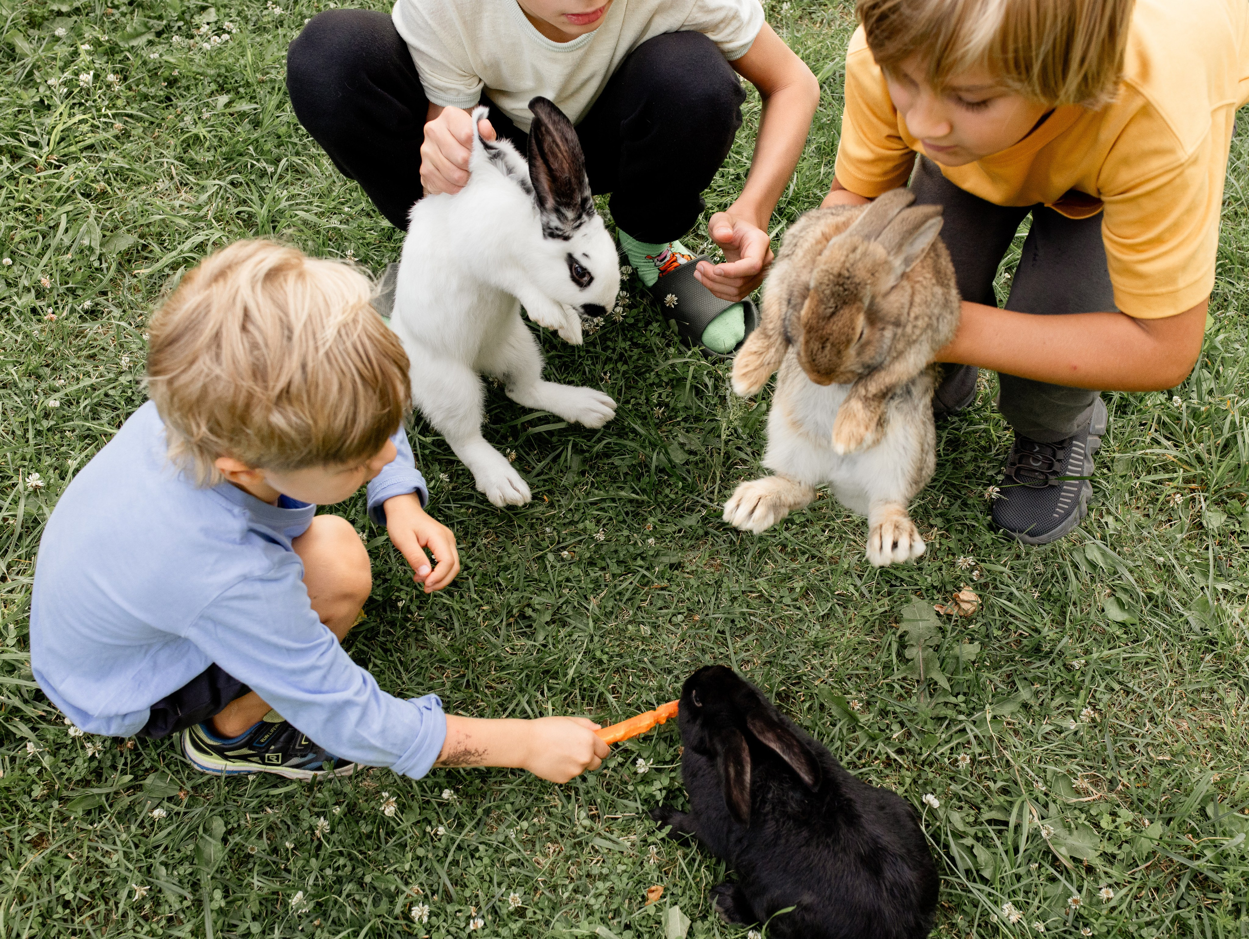 Кролики 2023. Семейный фотограф в Санкт-Петербурге Ирина Иванова