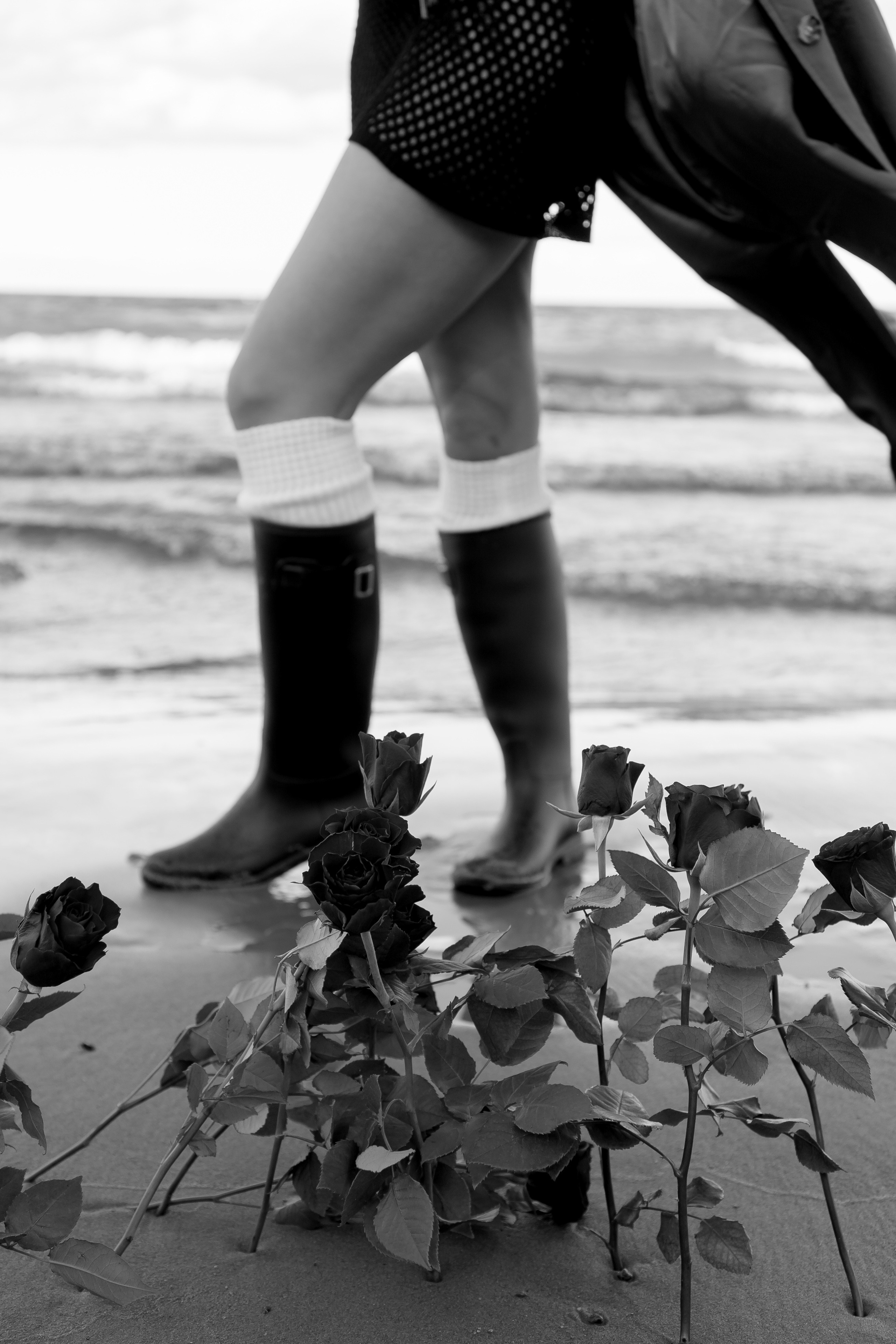 Розы. Профессиональный фотограф, Санкт-Петербург — Виктория Богомолова